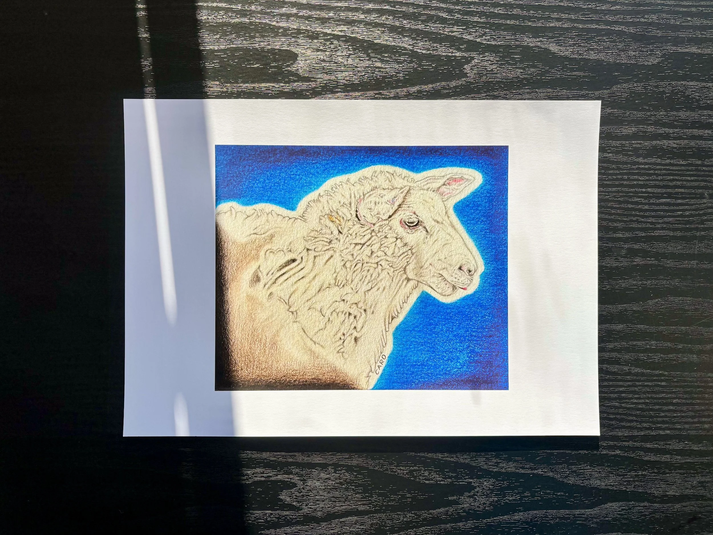 Art print of a sheep.