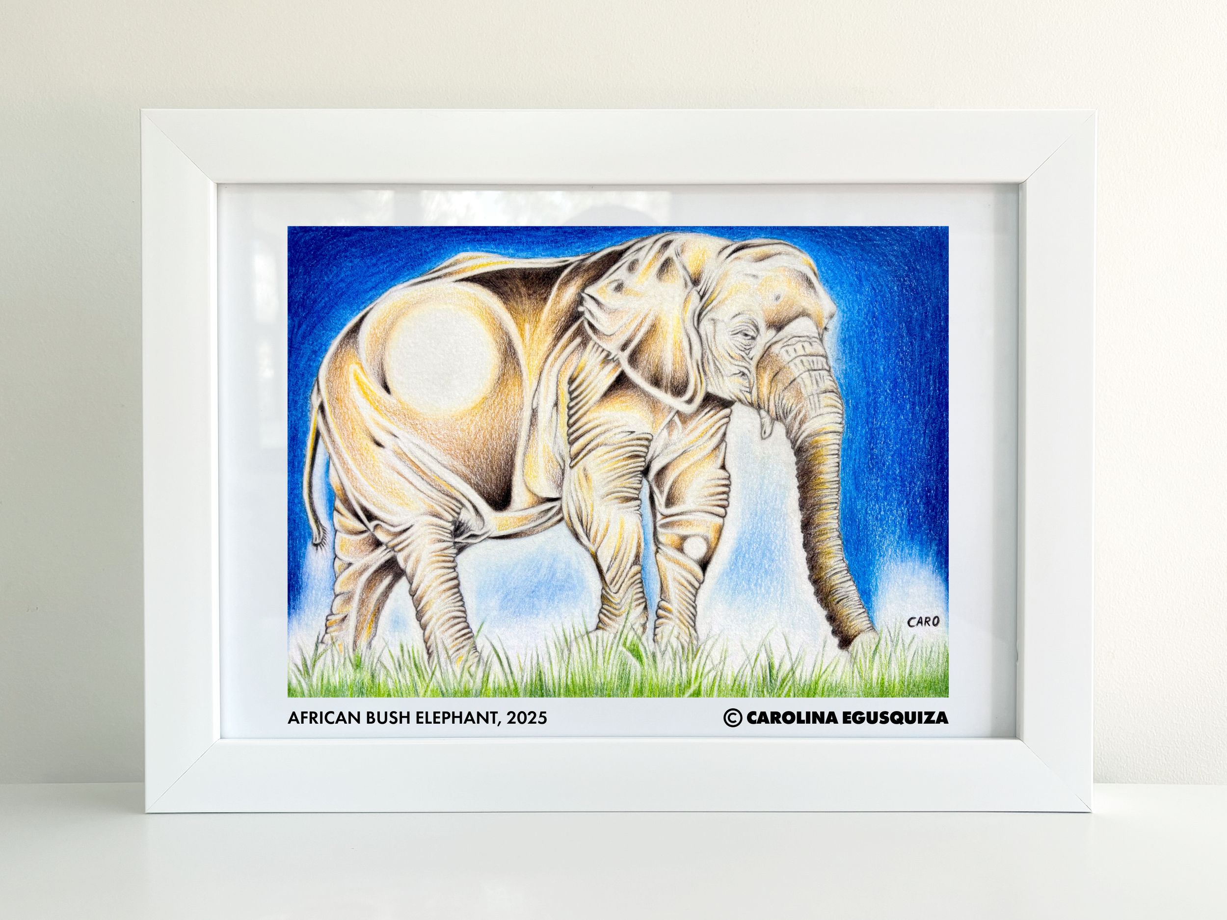 African Bush Elephant, A4 Frame Display 2 (With Signature).PNG