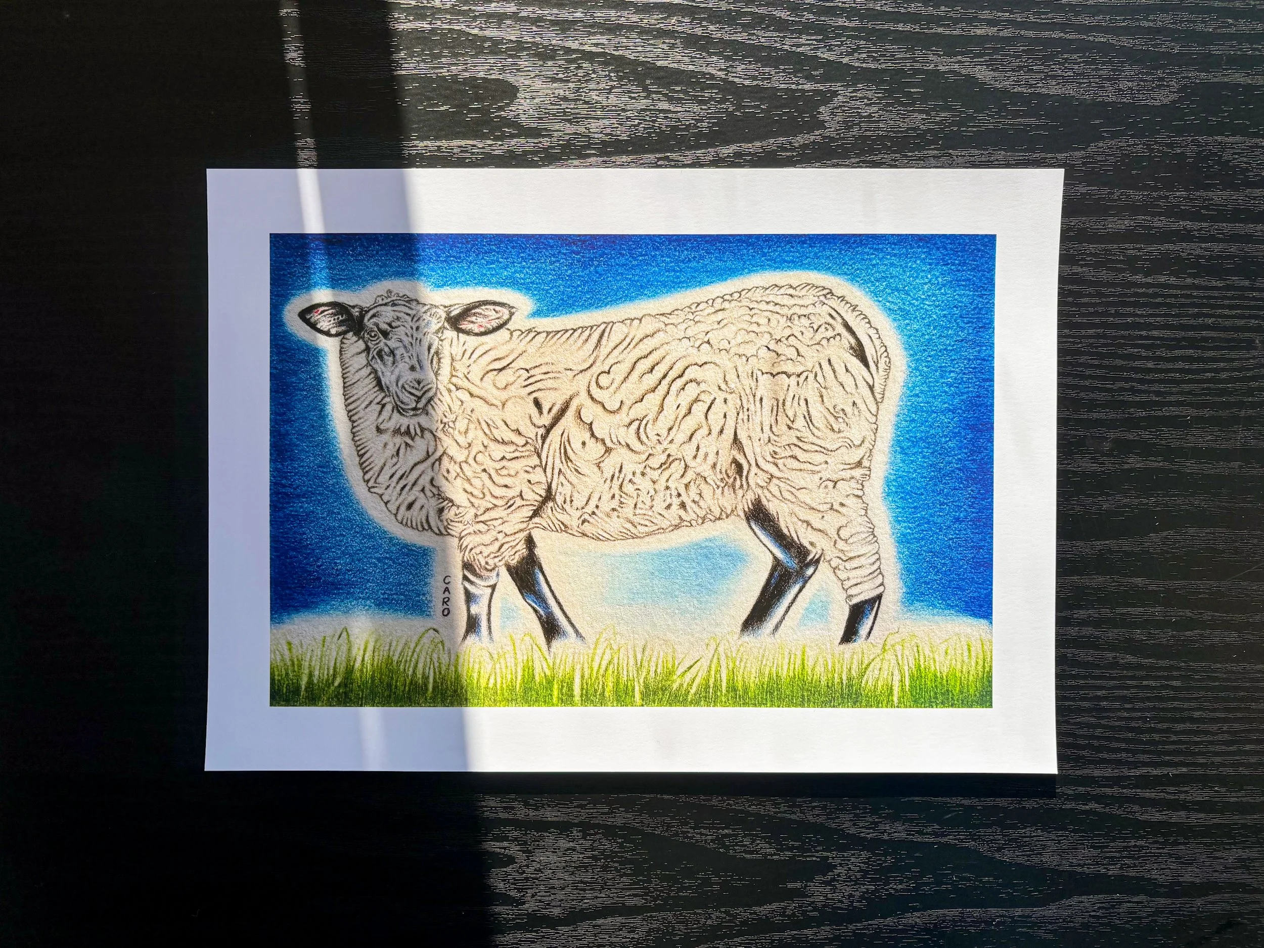 Art print of a Suffolk sheep, A4 size.