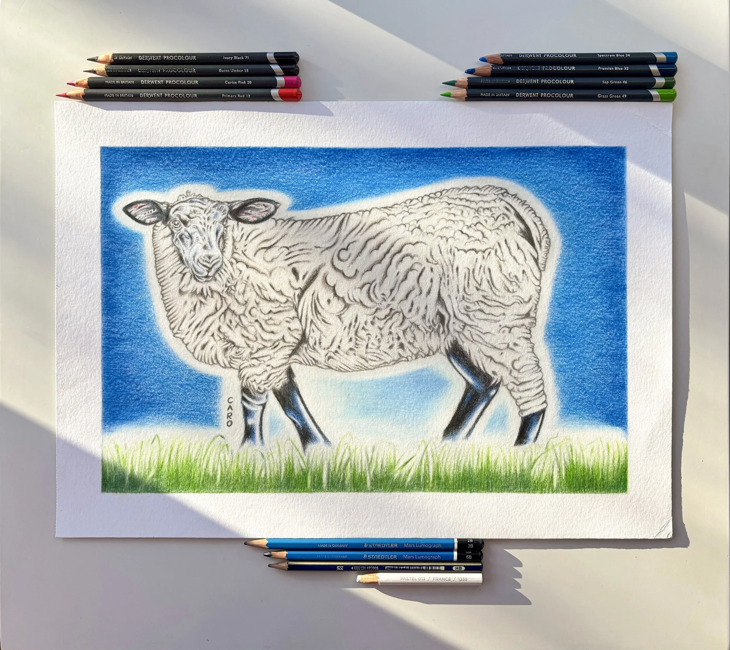Pencil drawing of a Suffolk sheep surrounded by graphites, coloured pencils and pastel.