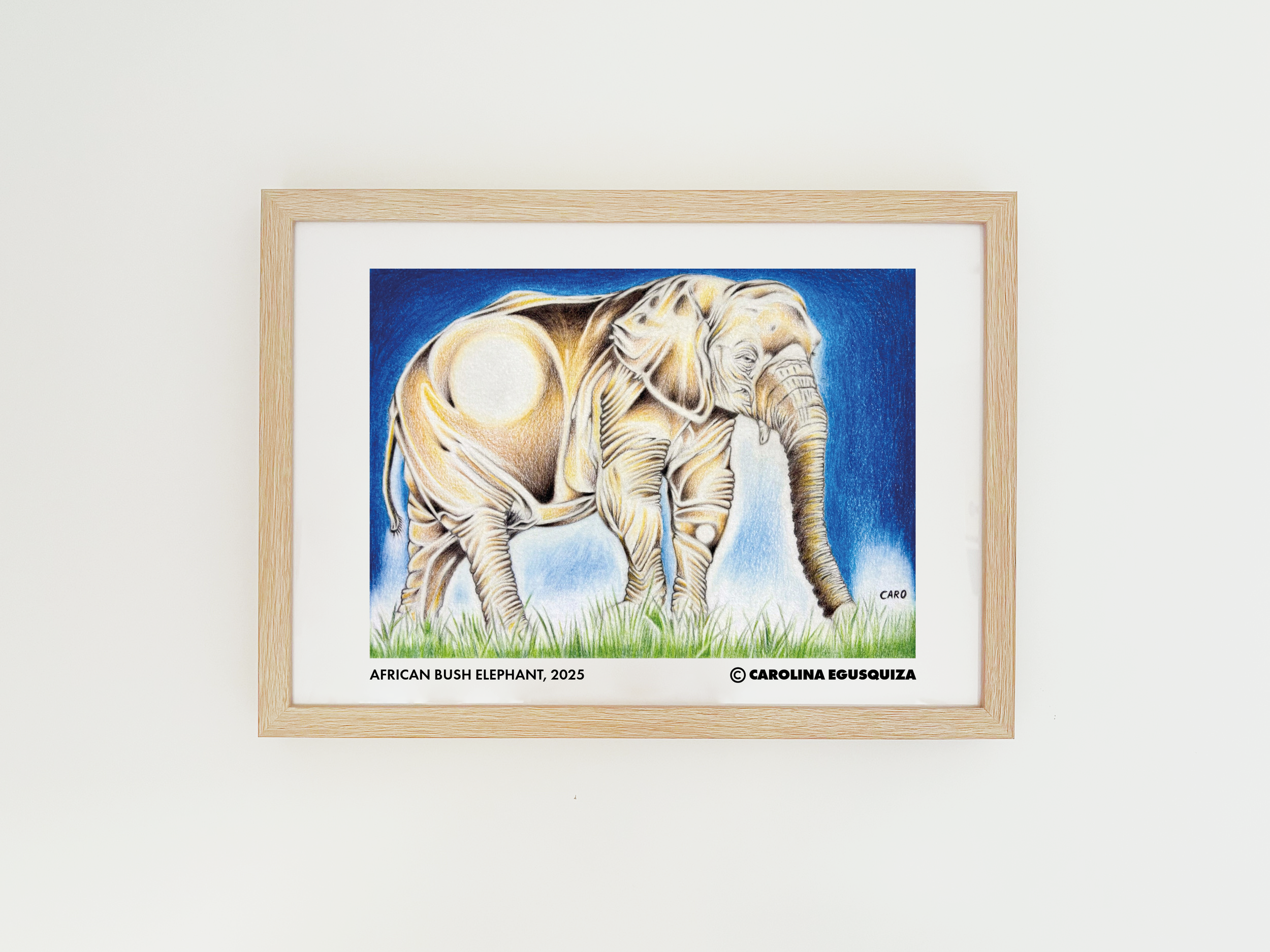 African Bush Elephant, CMYK A3 Frame.PNG
