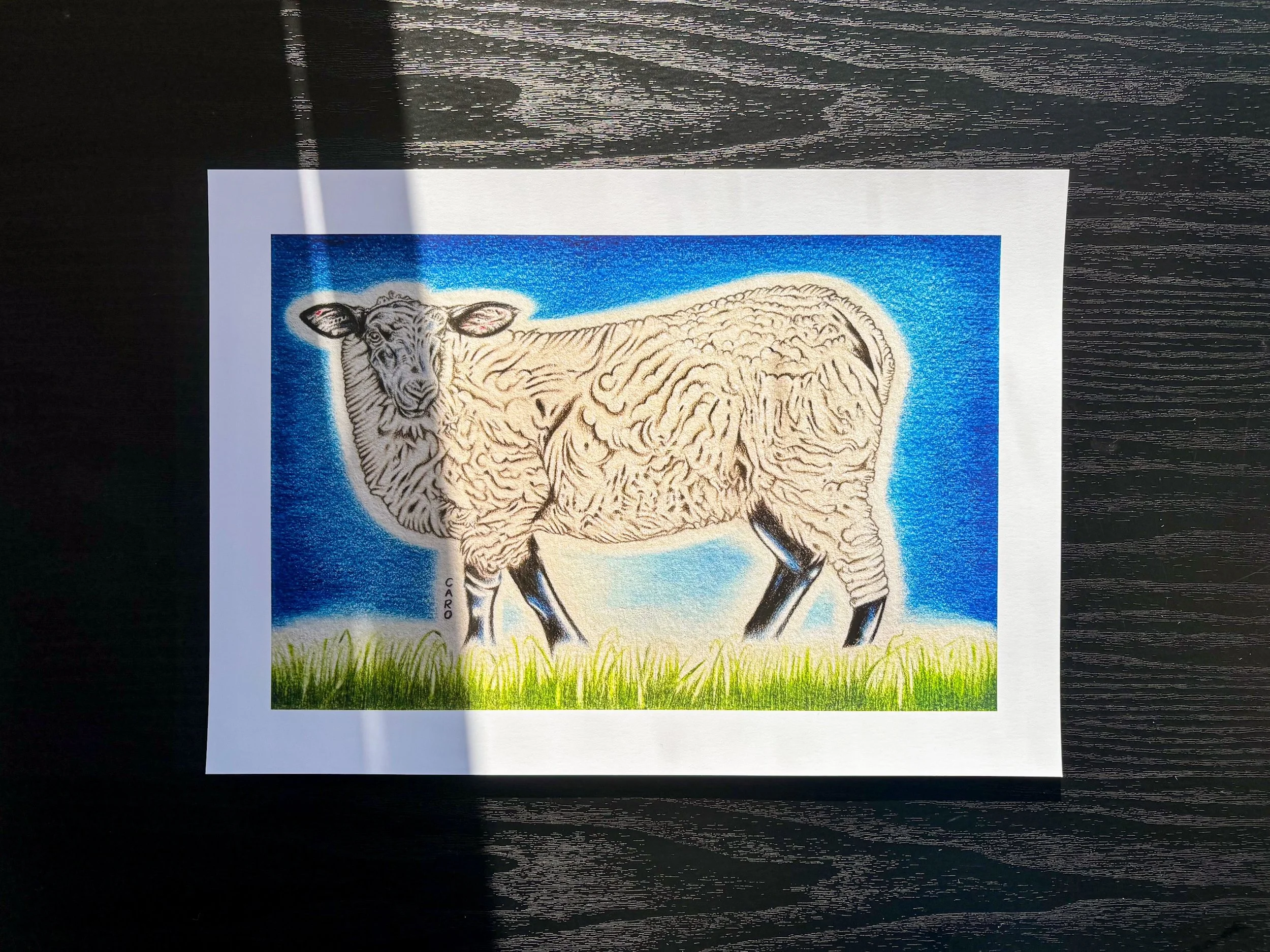 Art print of a Suffolk sheep in full colour.