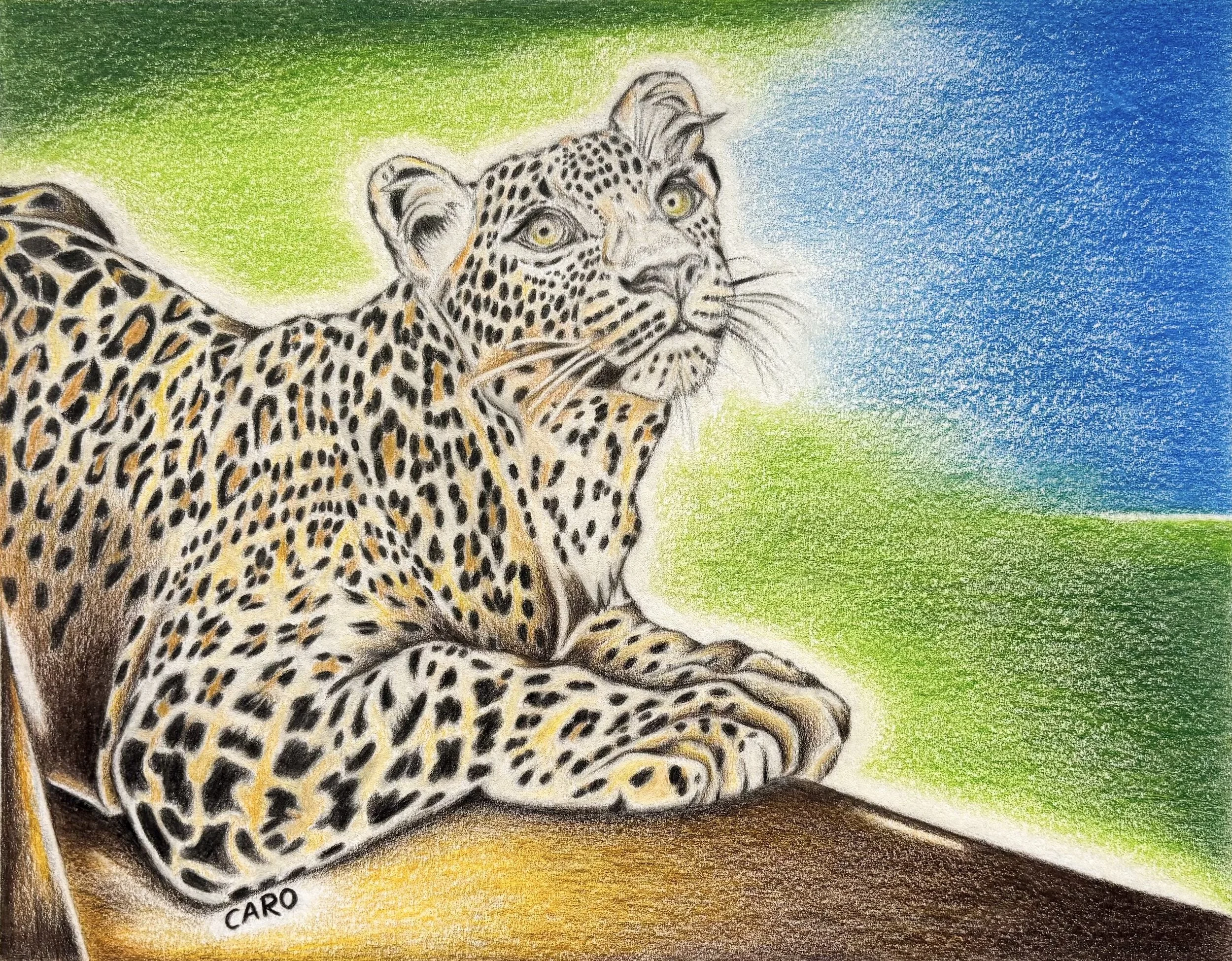 Pencil Portrait Art - People and Pets