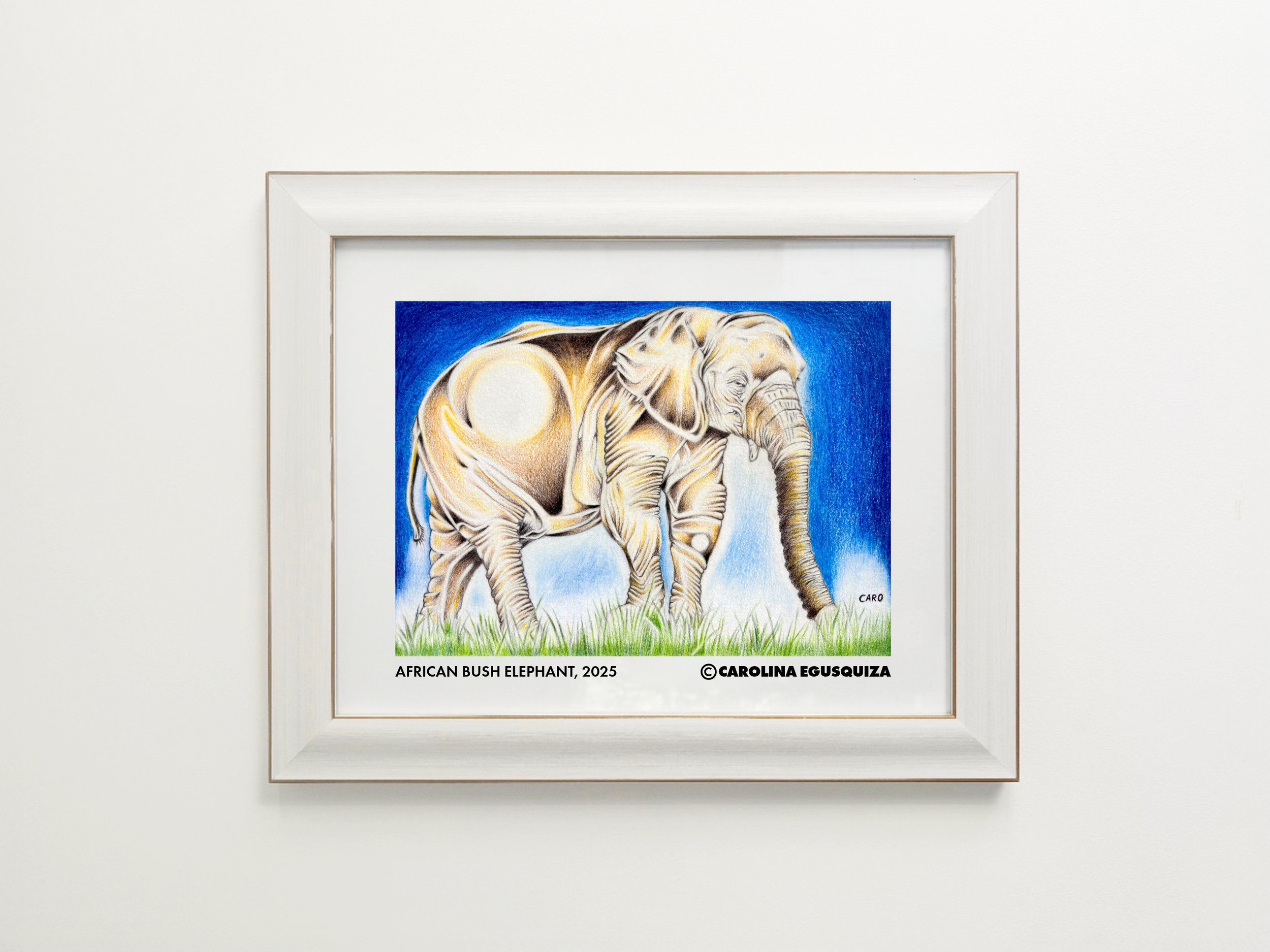 African Bush Elephant, 11 x 14 in Frame With Signature.PNG