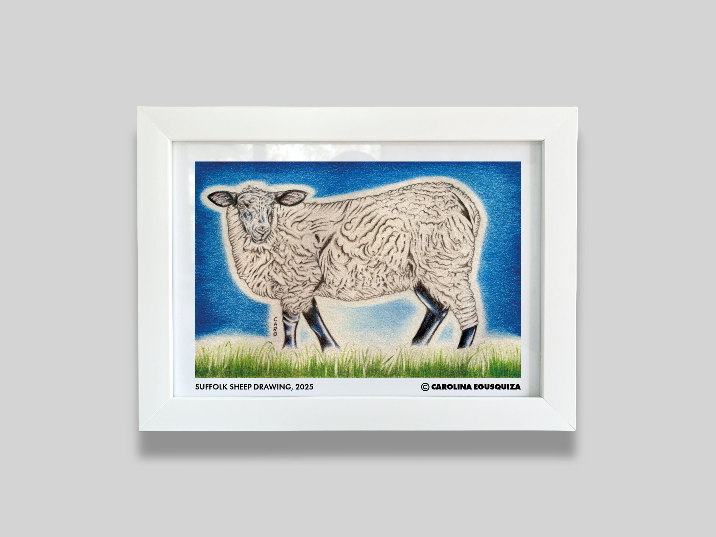 Suffolk Sheep, A4 Digital Frame With Signature, CMYK.PNG
