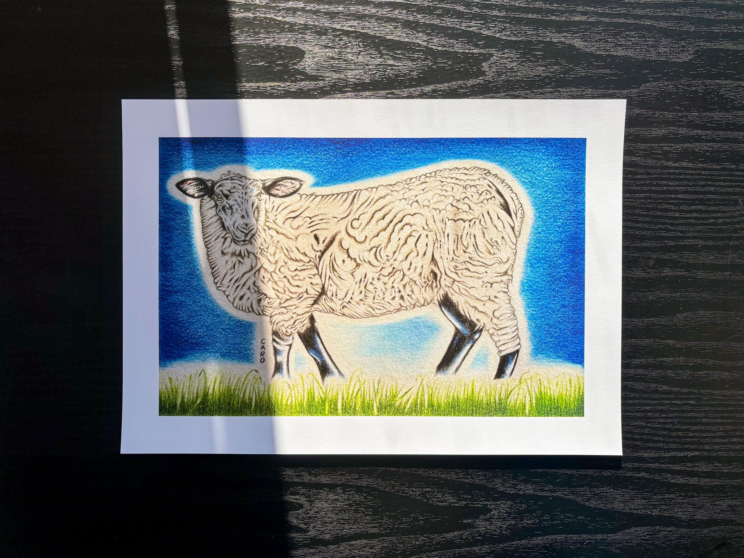 Suffolk Sheep Print 1, Low Res.JPG