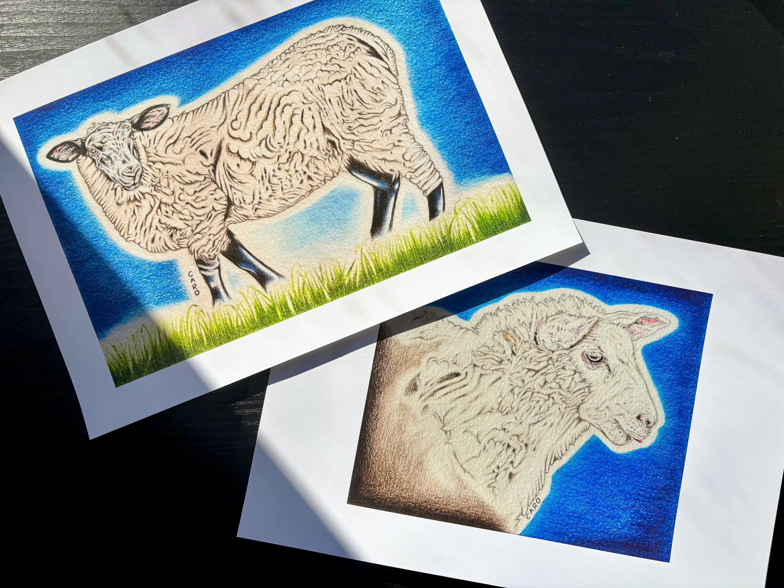 Sheep Drawings Prints, Low Res.JPG