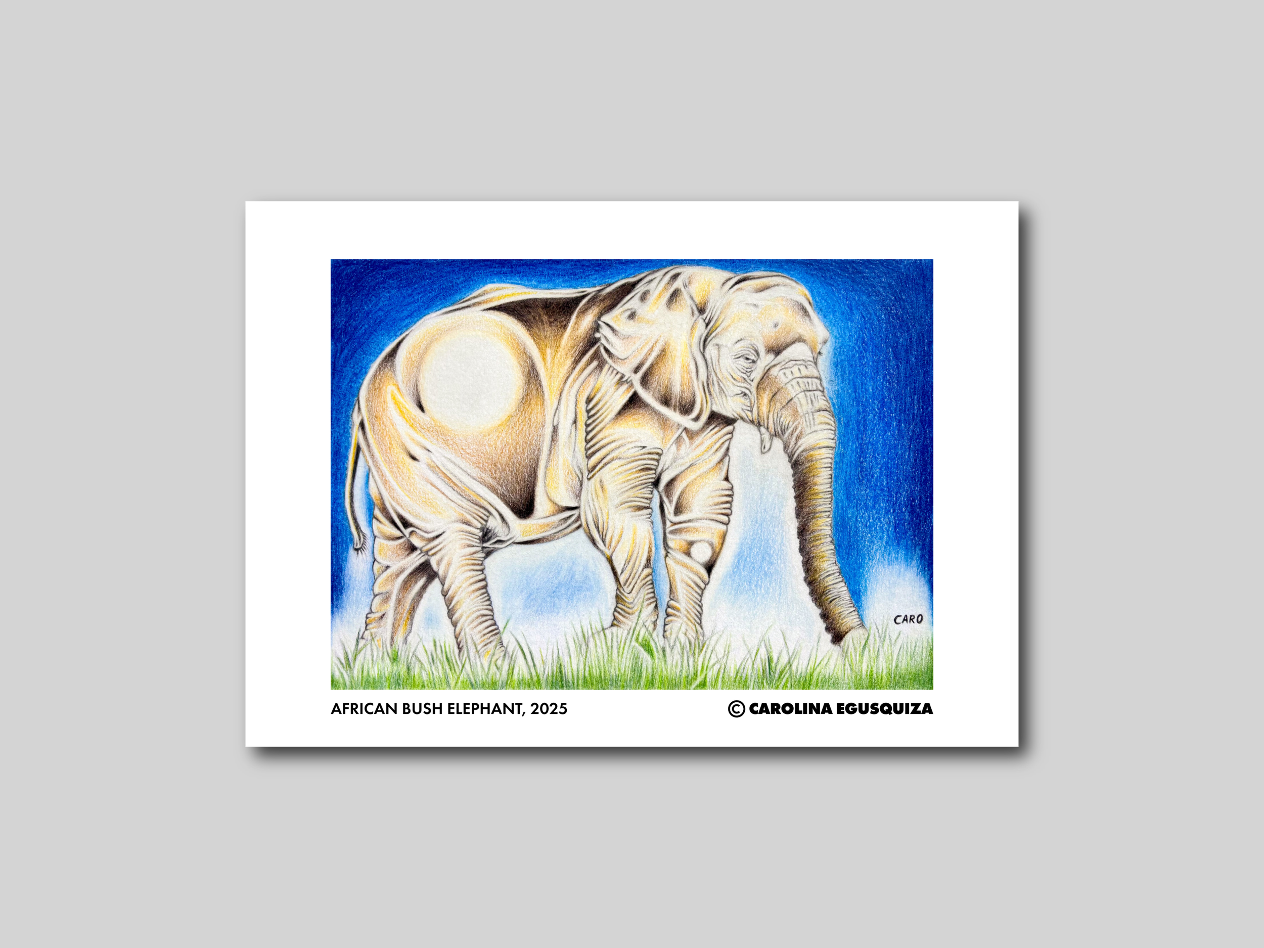 African Bush Elephant, A4 Digital Display With Signature.PNG