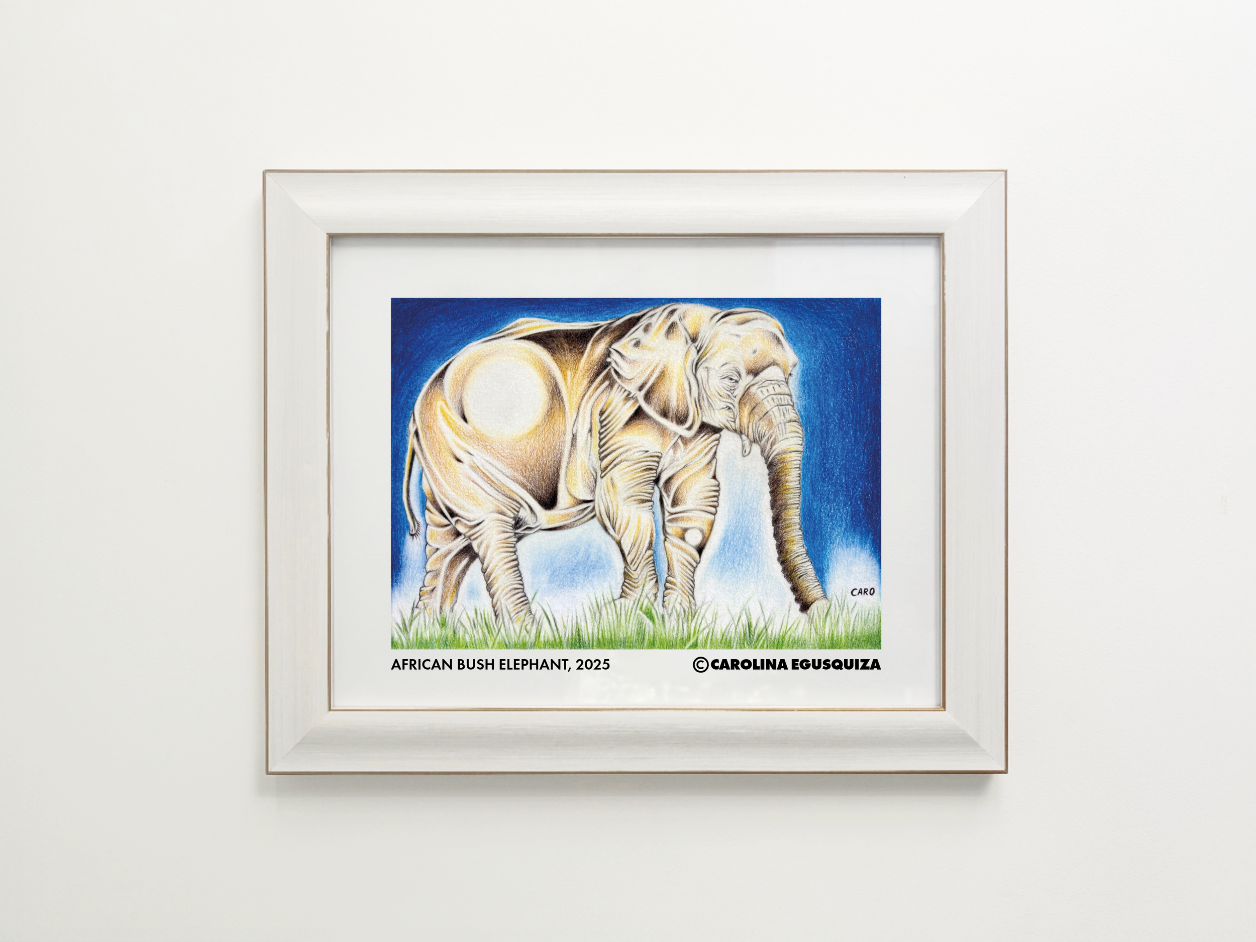 African Bush Elephant, 11 x 14 inch Frame, CMYK.PNG