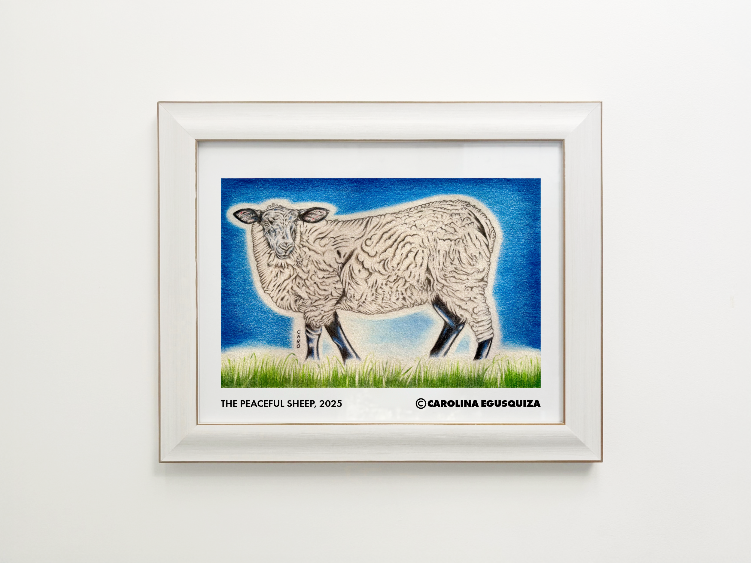 Suffolk Sheep Drawing, 11 x 14 in Frame With Signature.PNG