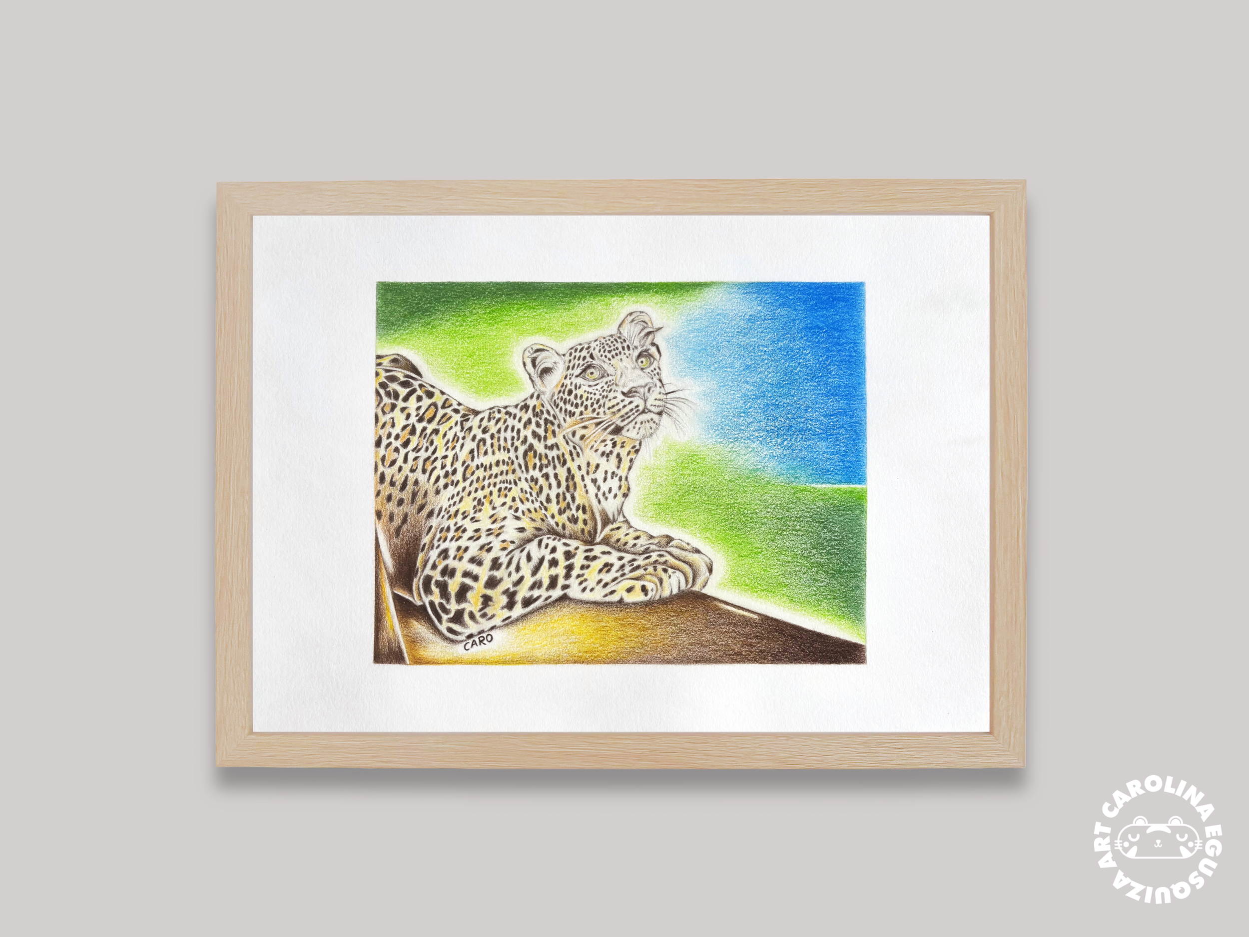 Digital frame display