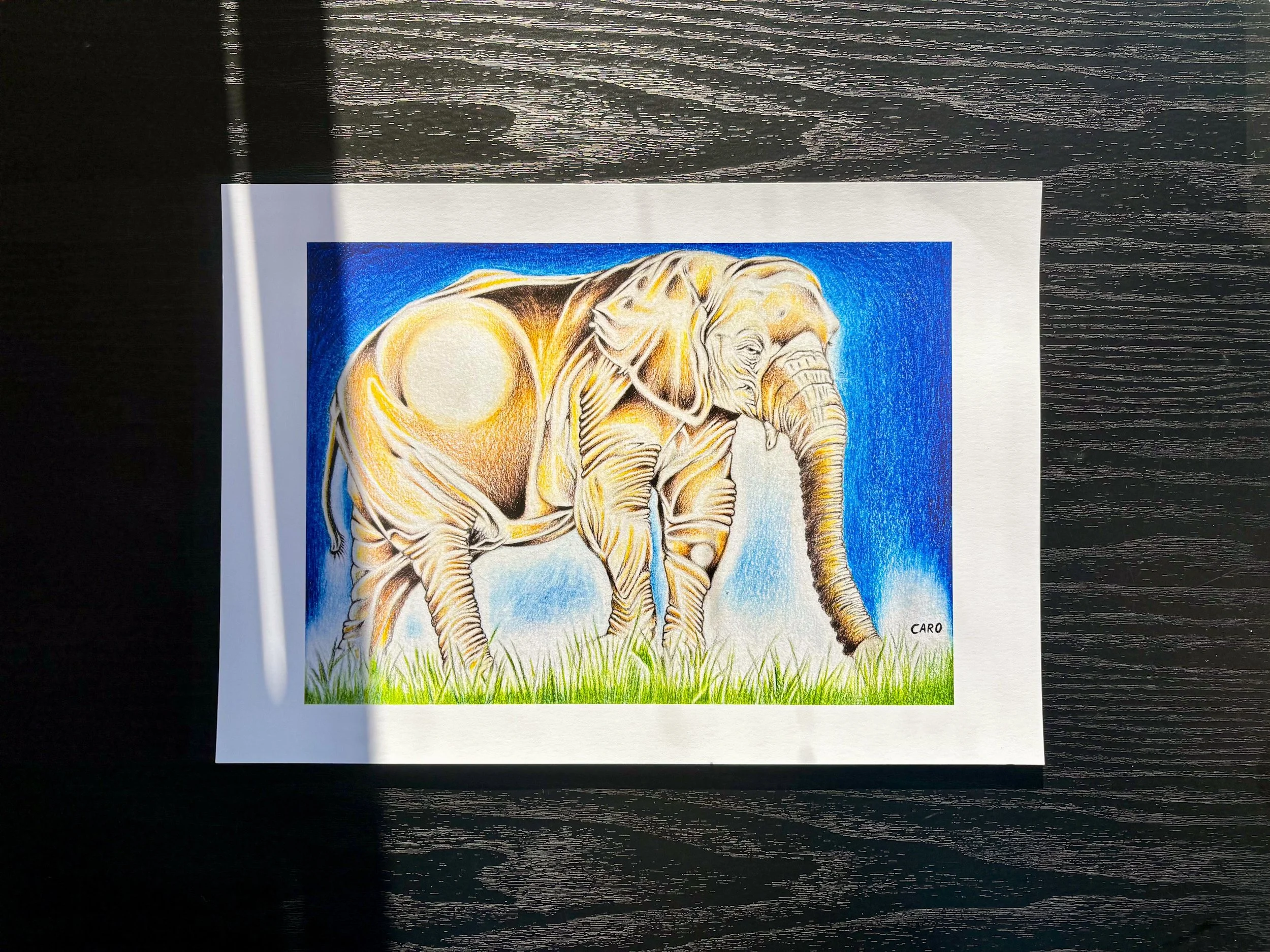 Art print of an African Bush Elephant in full colour.