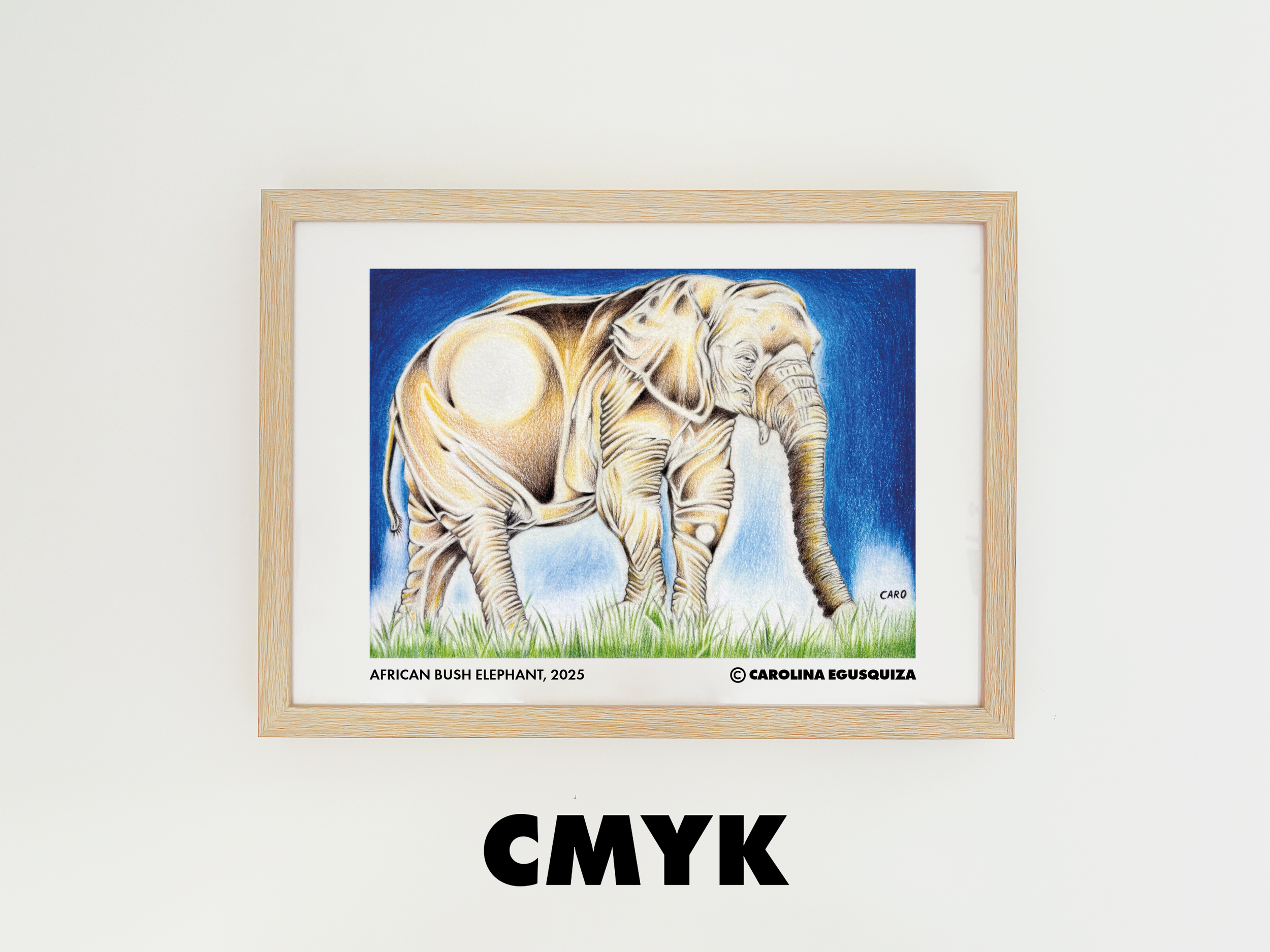 African Bush Elephant, CMYK A3 Frame 2.PNG