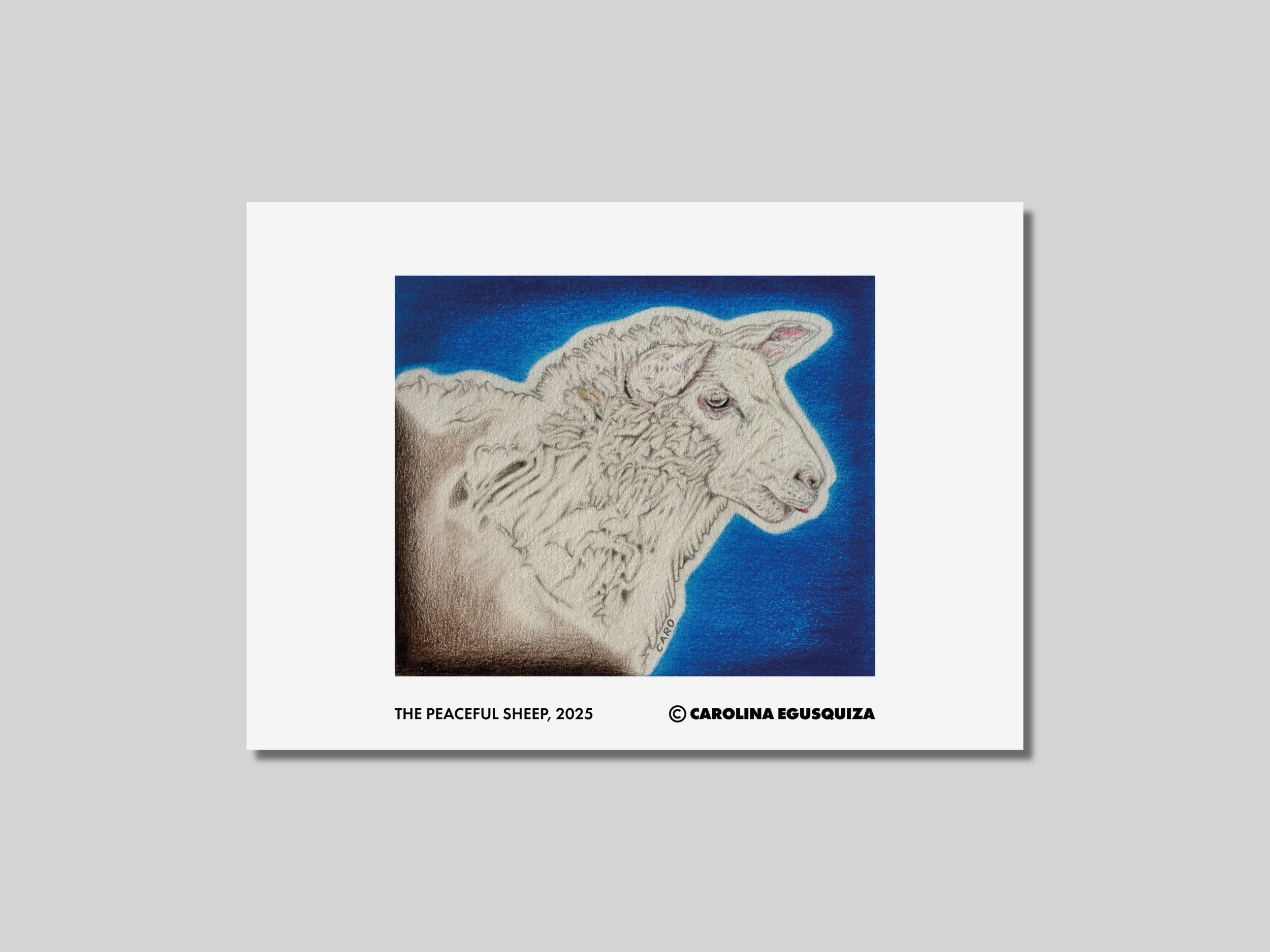 The Peaceful Sheep, CMYK Digital Print Display.PNG