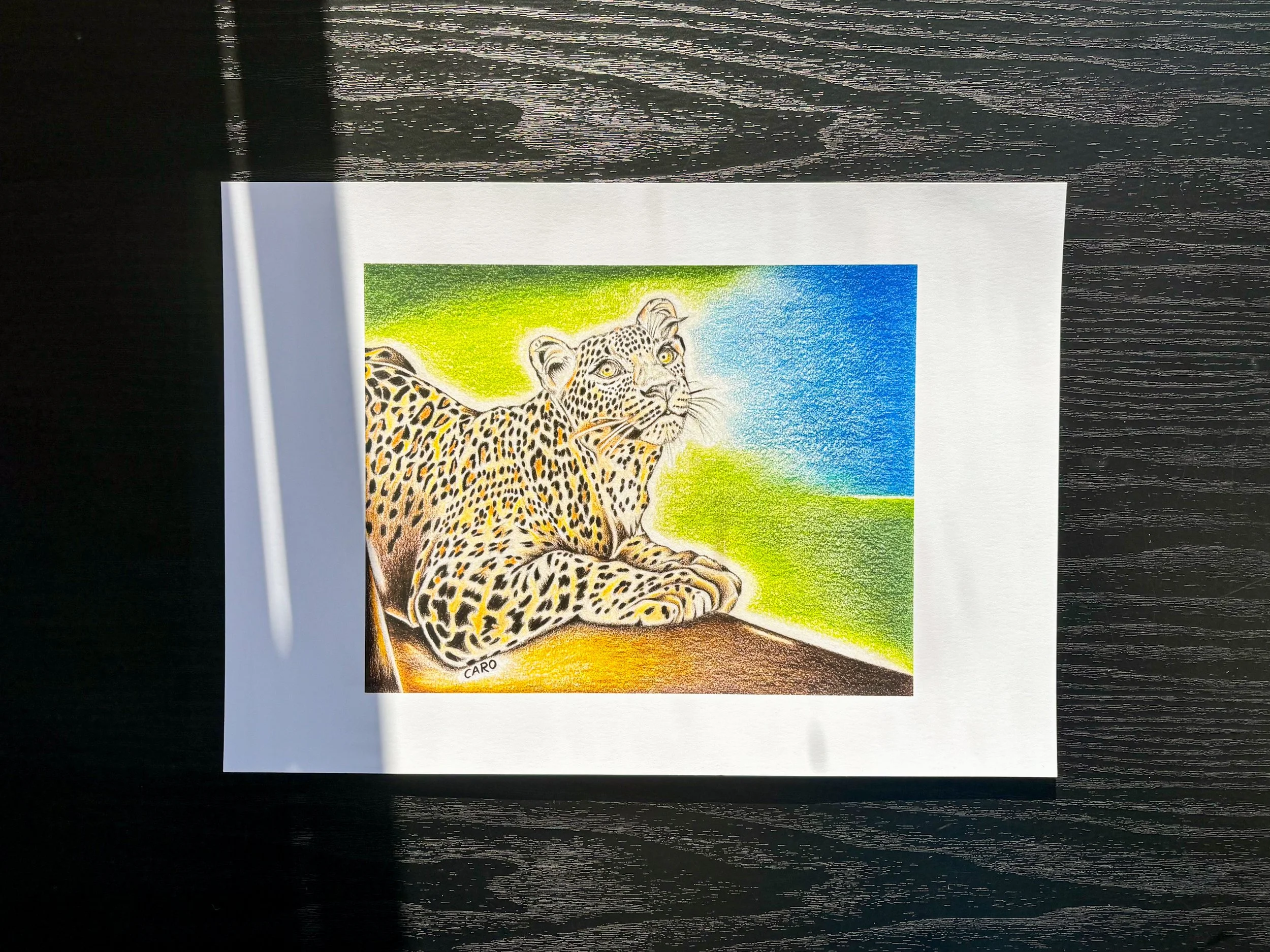 Art print of a leopard lying down, A4 Size