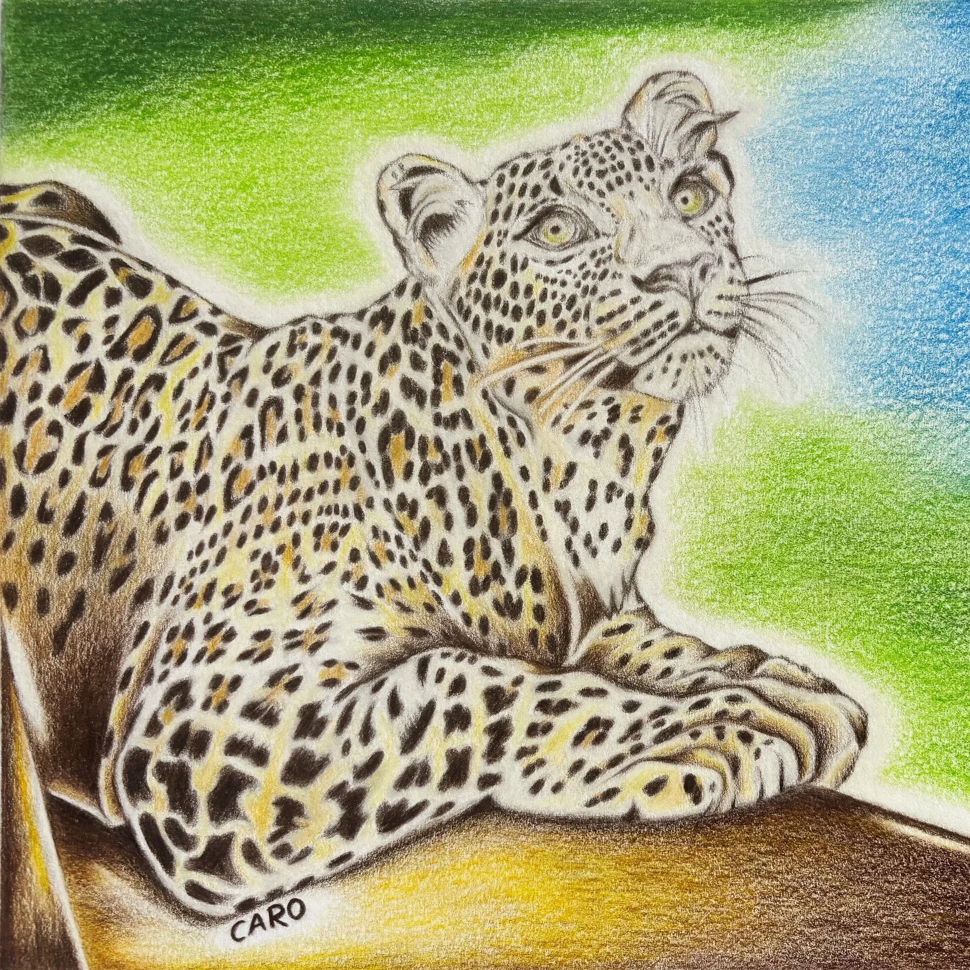 Leopard