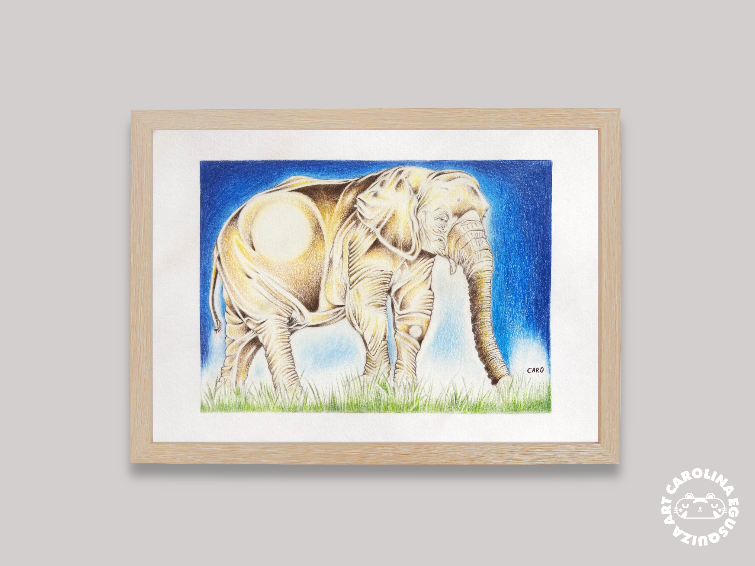 Digital frame display