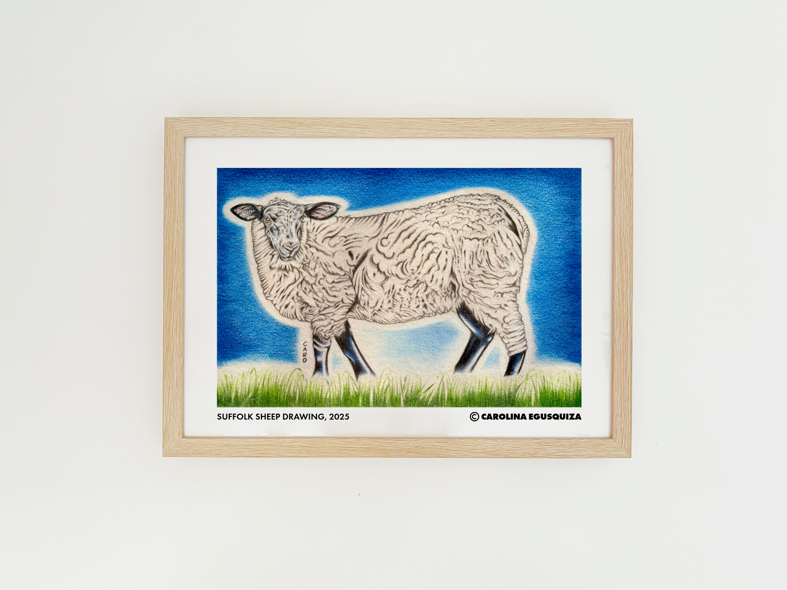 Suffolk Sheep, A3 Digital Frame With Signature.PNG