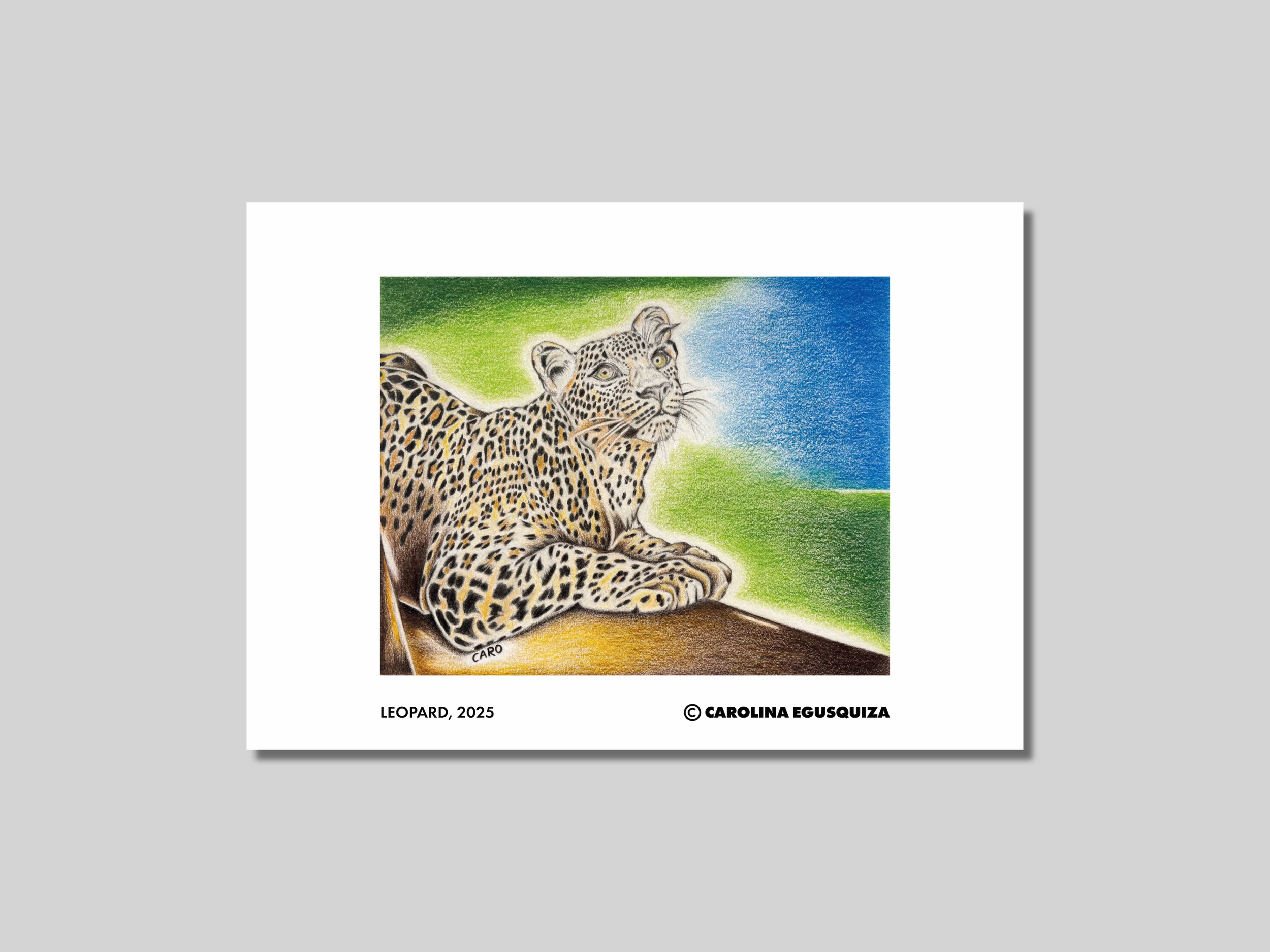 Leopard, CMYK Digital Print Display.PNG