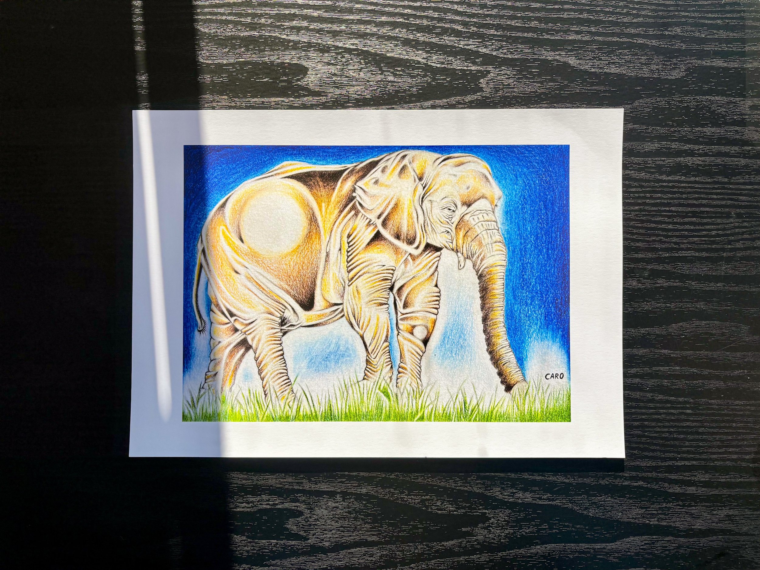 African Bush Elephant Print 1, Low Res.JPG