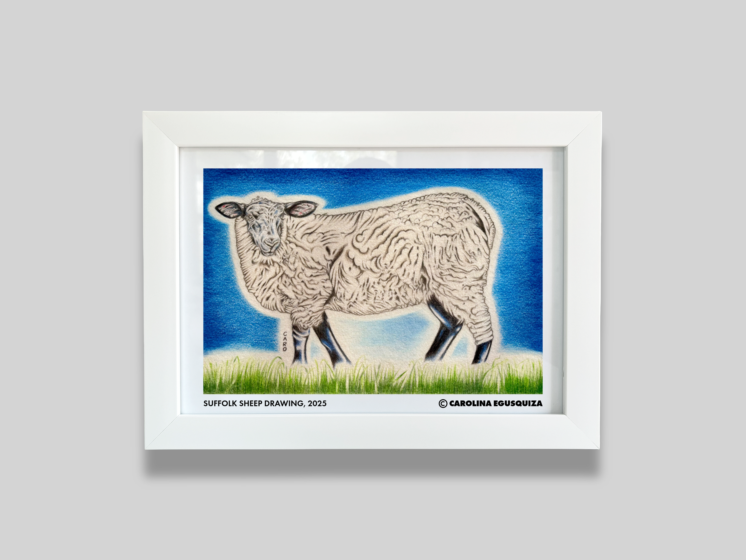 Suffolk Sheep Drawing, A4 Digital Frame Display With Signature.PNG