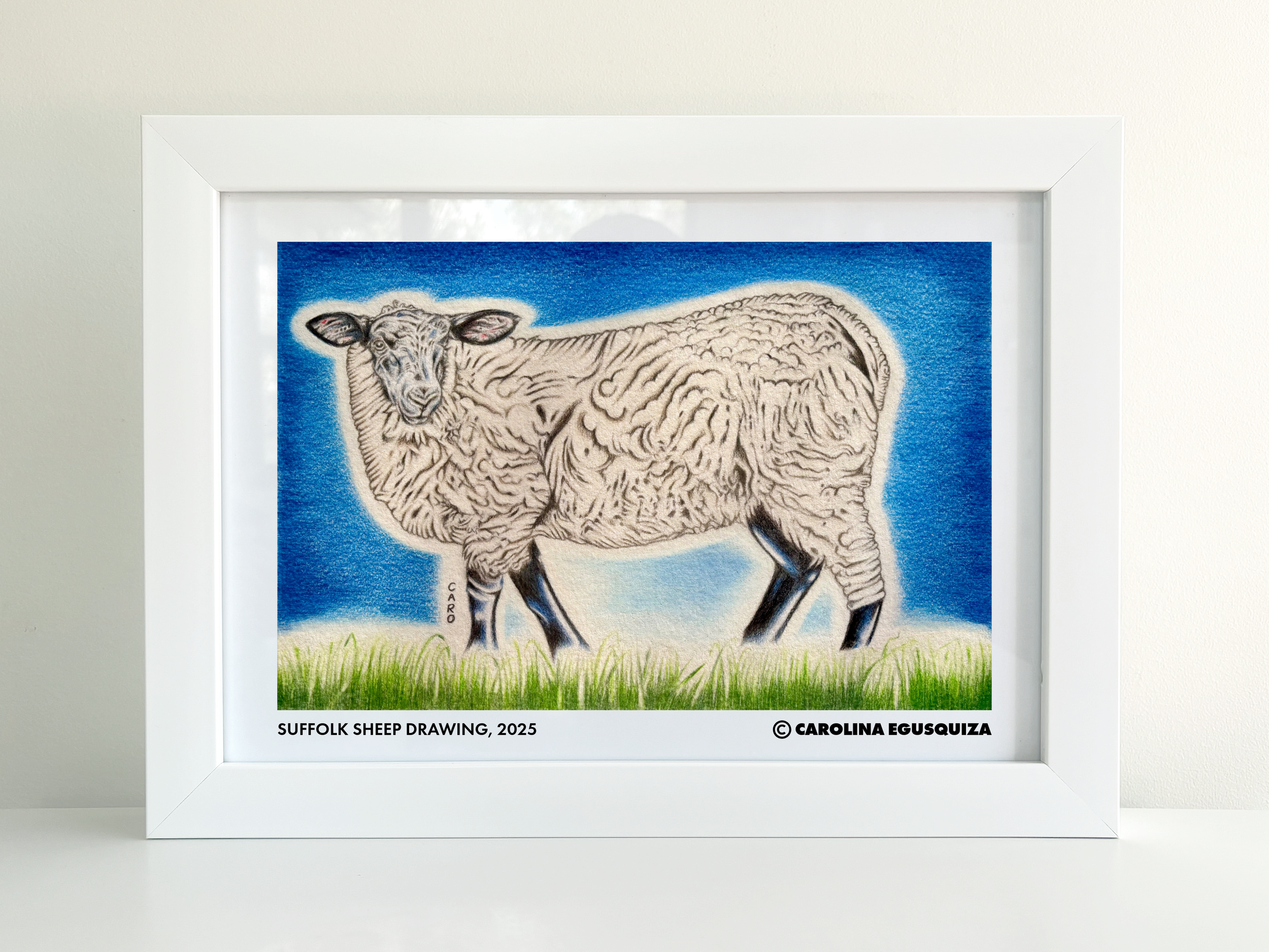 Suffolk Sheep, A4 Frame Display 2 (With Signature).PNG