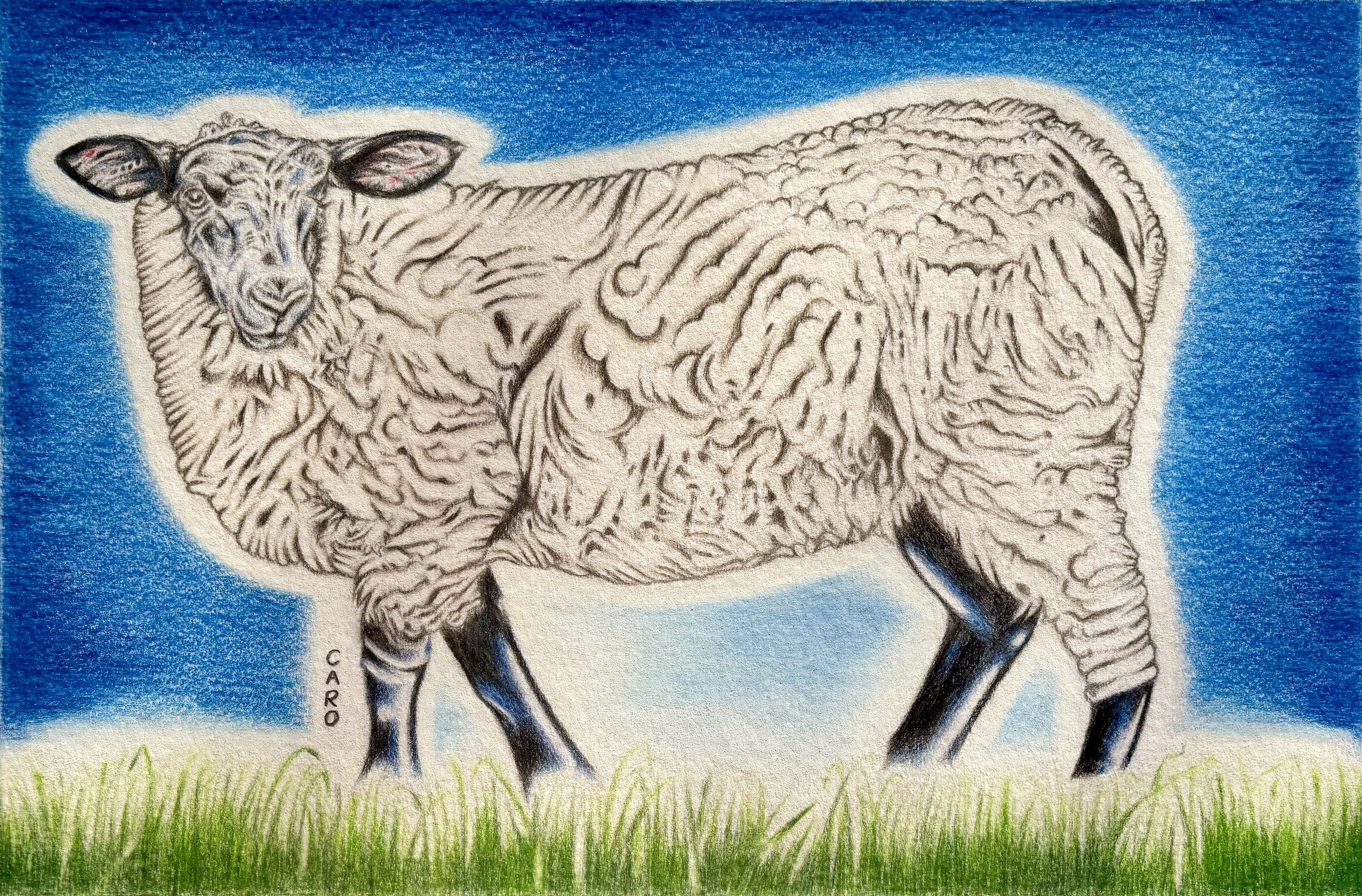Suffolk Sheep 2, Low Res.jpg