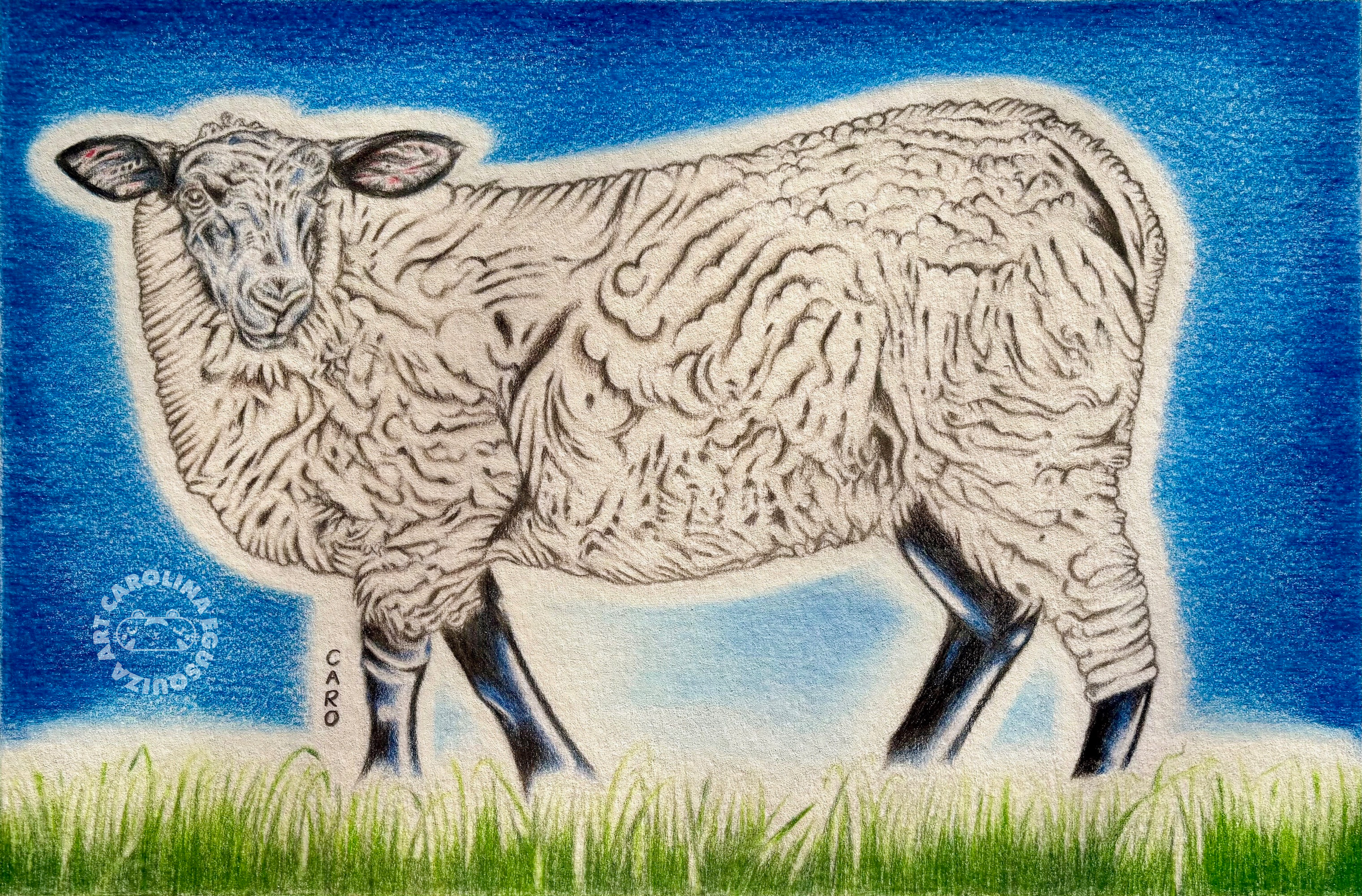 Suffolk Sheep Drawing With Logo.PNG