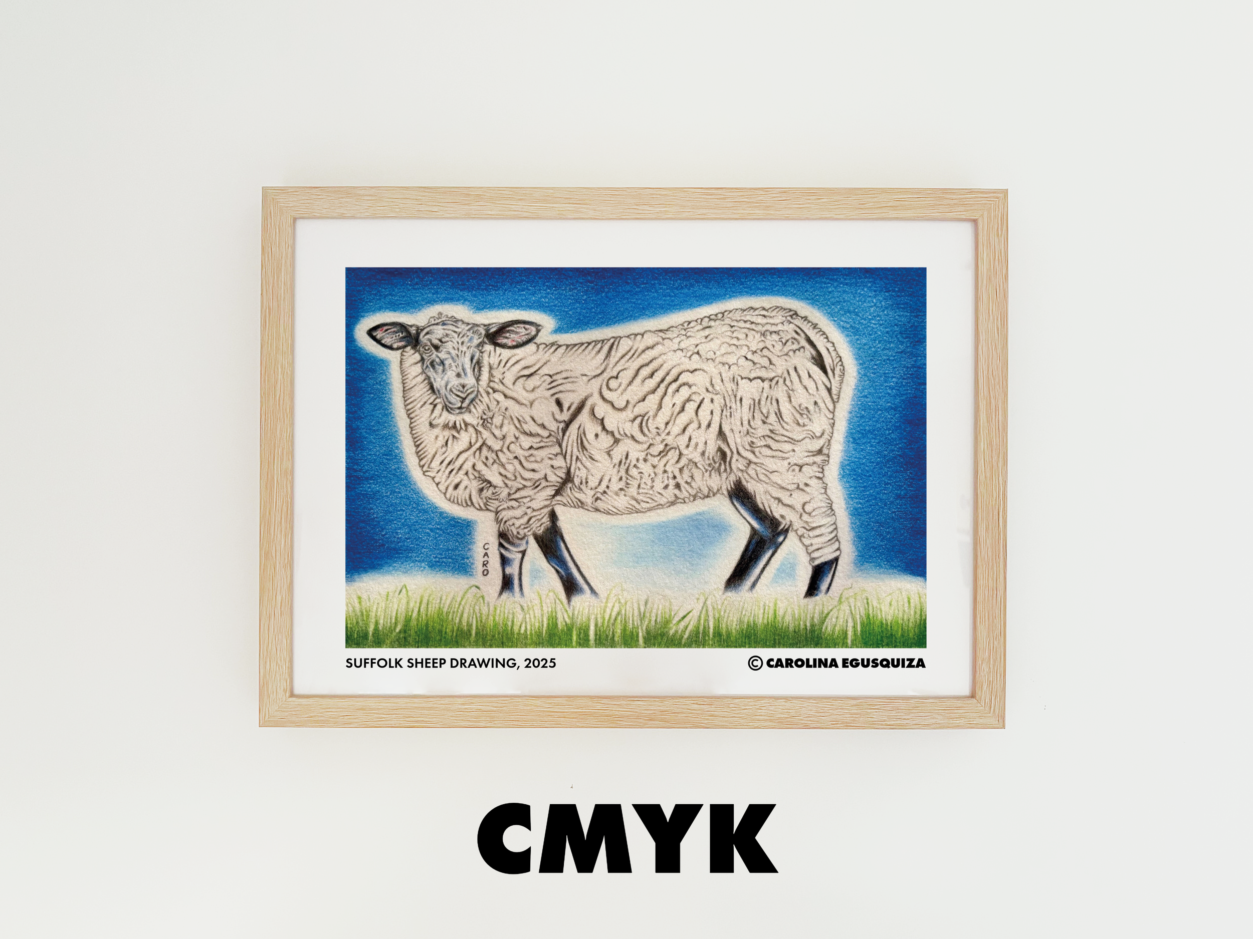 Suffolk Sheep Drawing, CMYK Digital Download, Set of 6 Printables