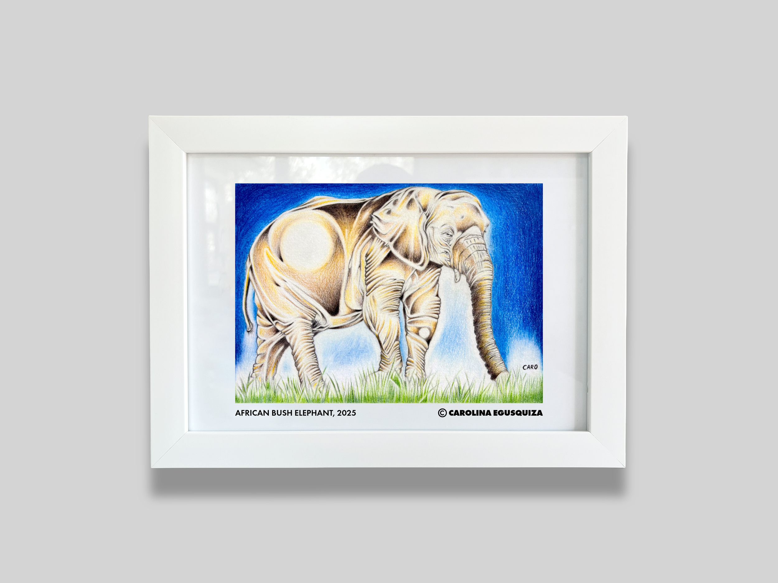 African Bush Elephant,  A4 Digital Frame Display With Signature.PNG