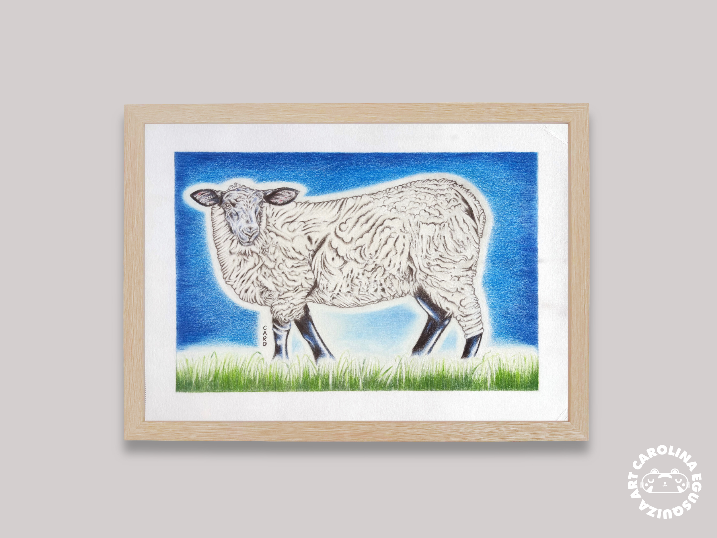 Digital frame display