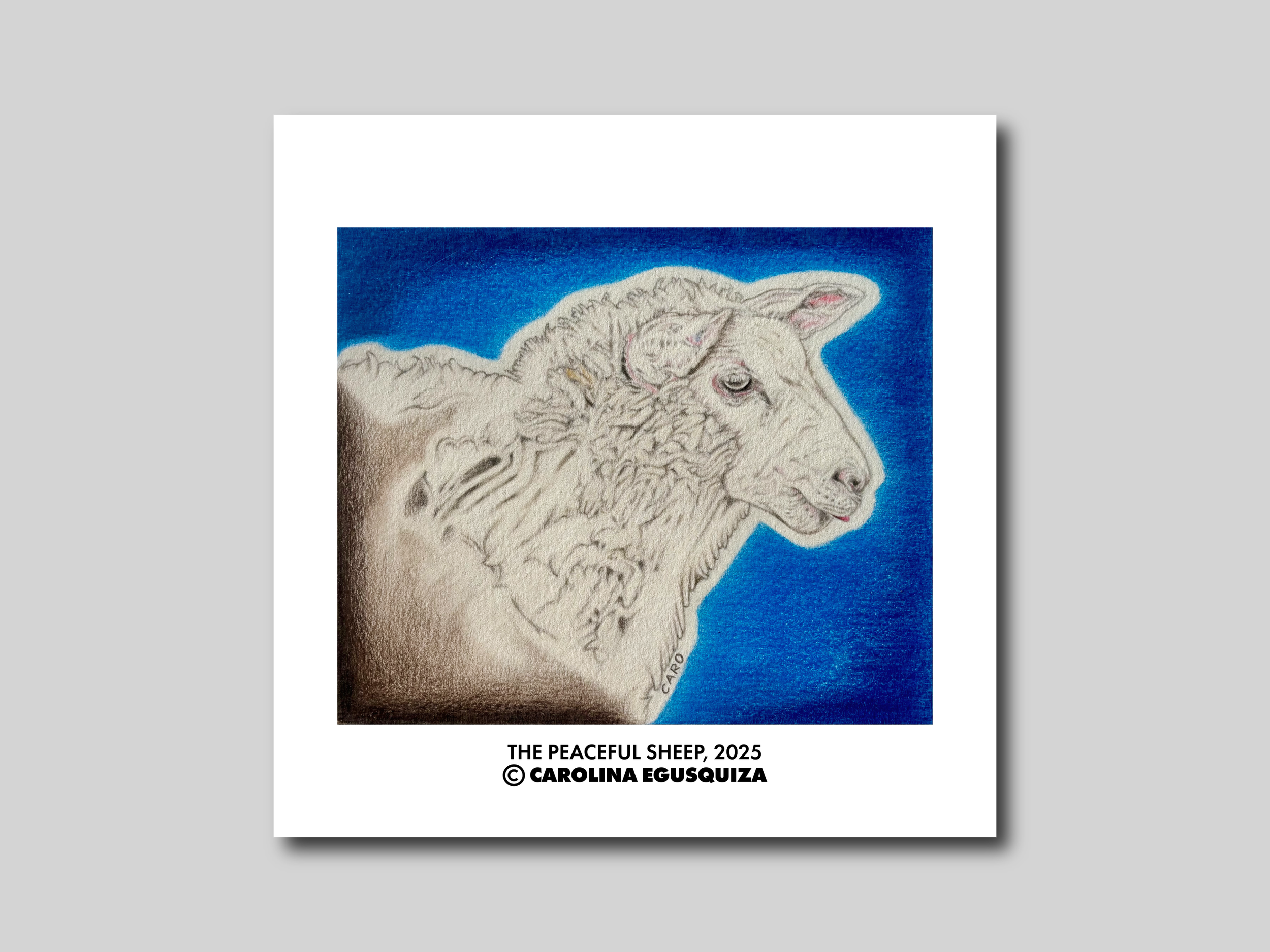 The Peaceful Sheep, Square Digital Display With Signature.PNG