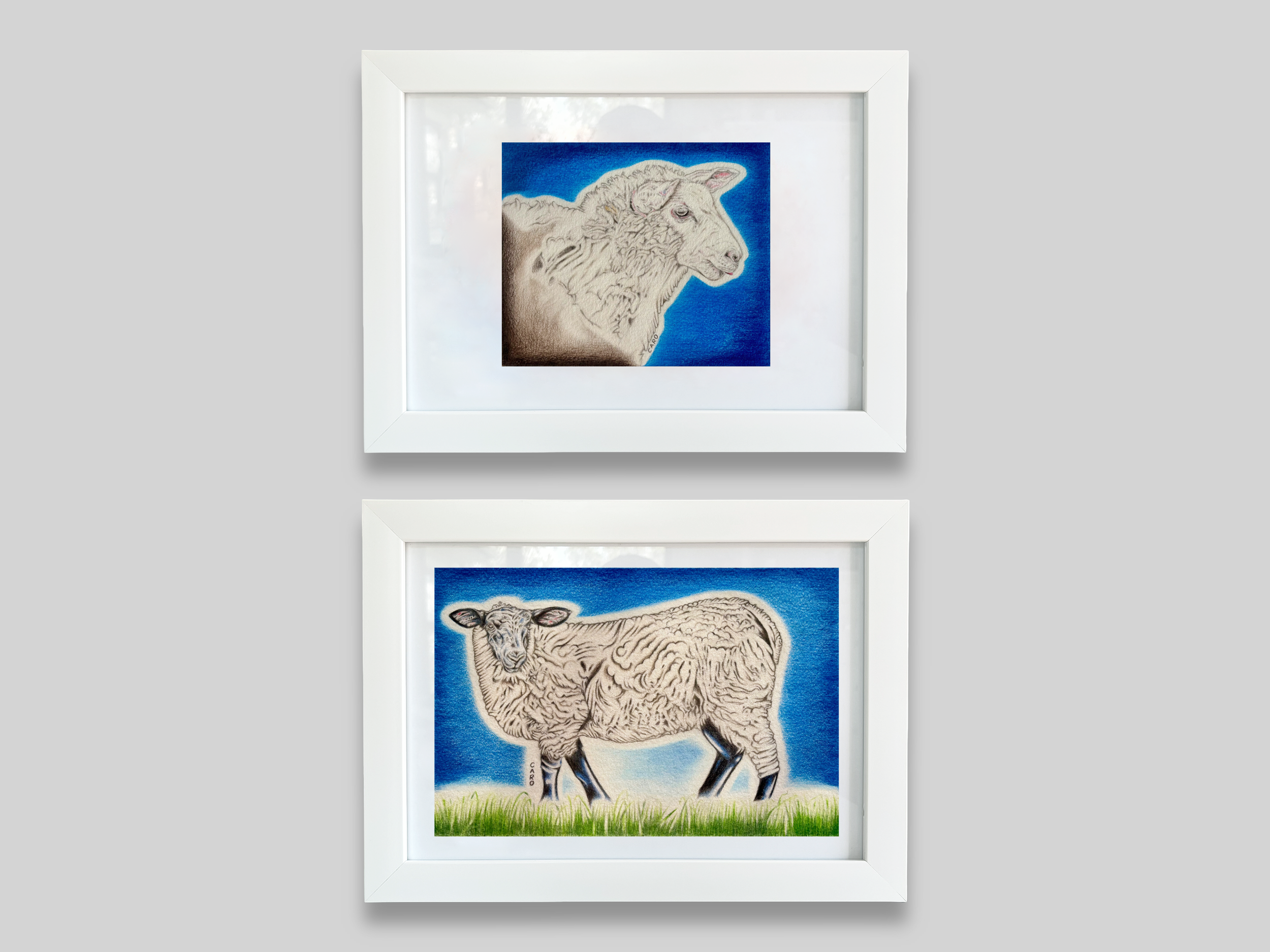 Sheep Drawings, Set of 2 Prints, A4