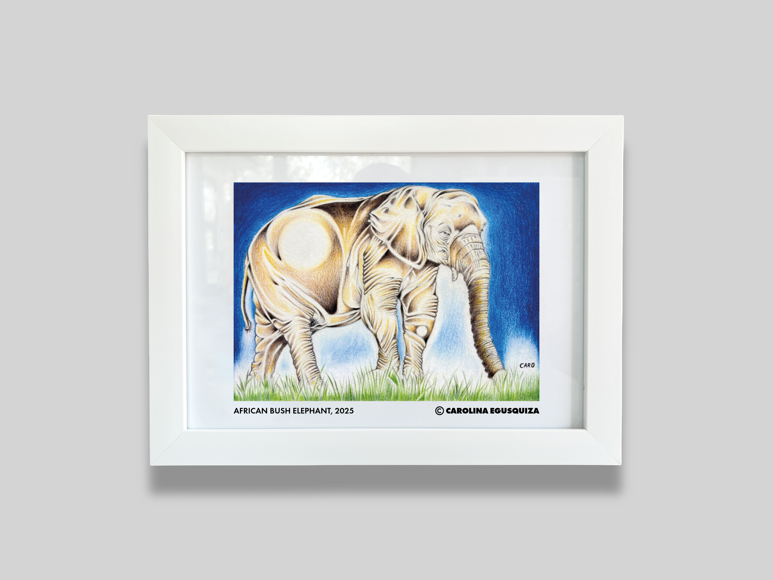 African Bush Elephant, A4 Digital Frame With Signature, CMYK.PNG