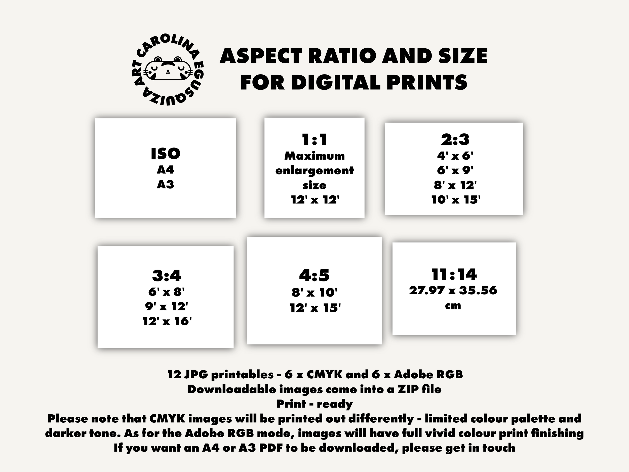 Aspect Ratio Template.PNG