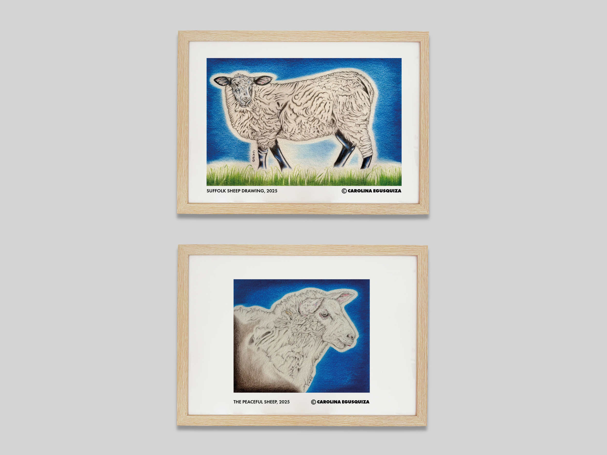 Sheep Drawings, CMYK Digital Frames Display 2.PNG