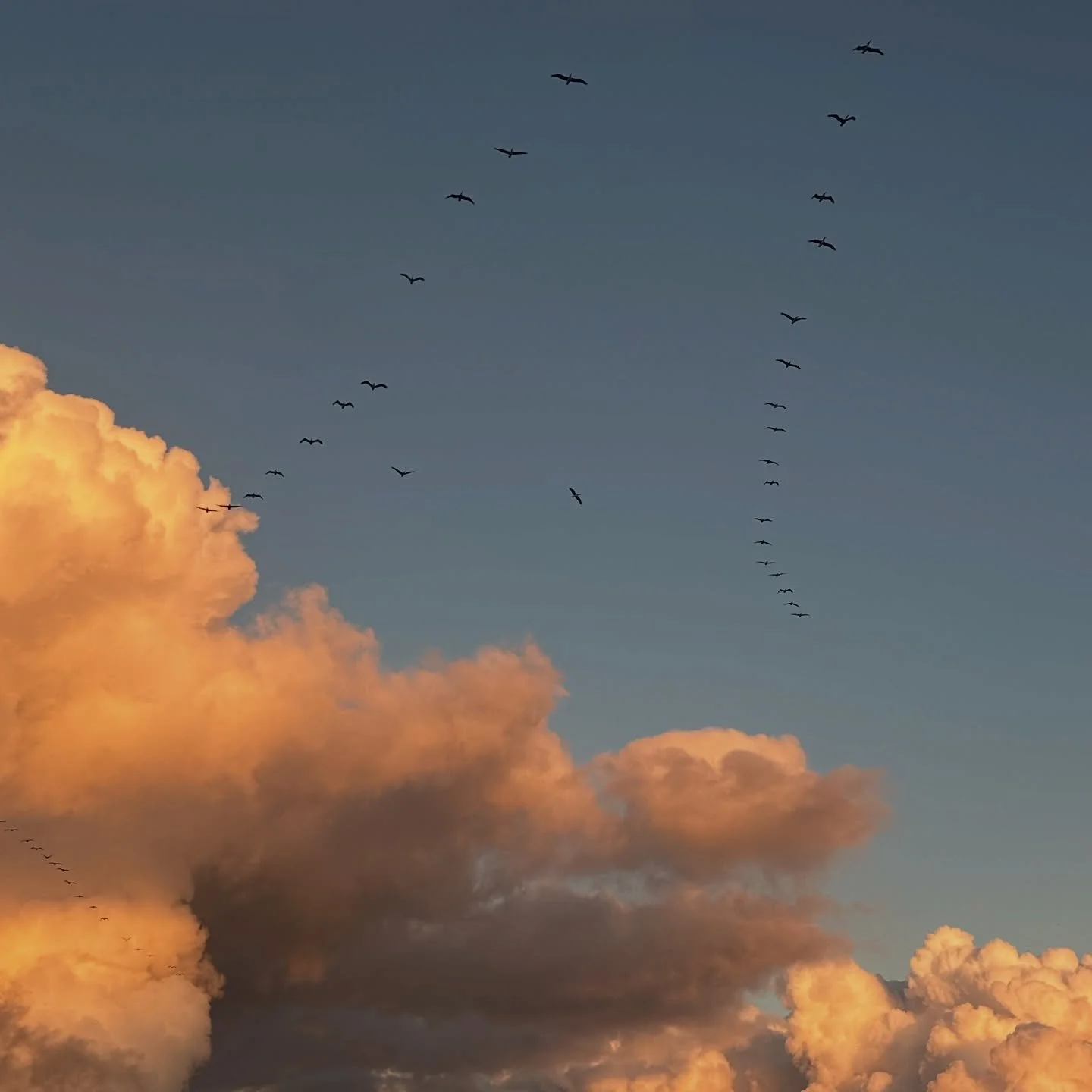 The last year showed me that true passions stick around because they're deeply ingrained in who you are, and I think that's a real blessing. It's something beyond the material that can&rsquo;t be taken away regardless of circumstances and experiences