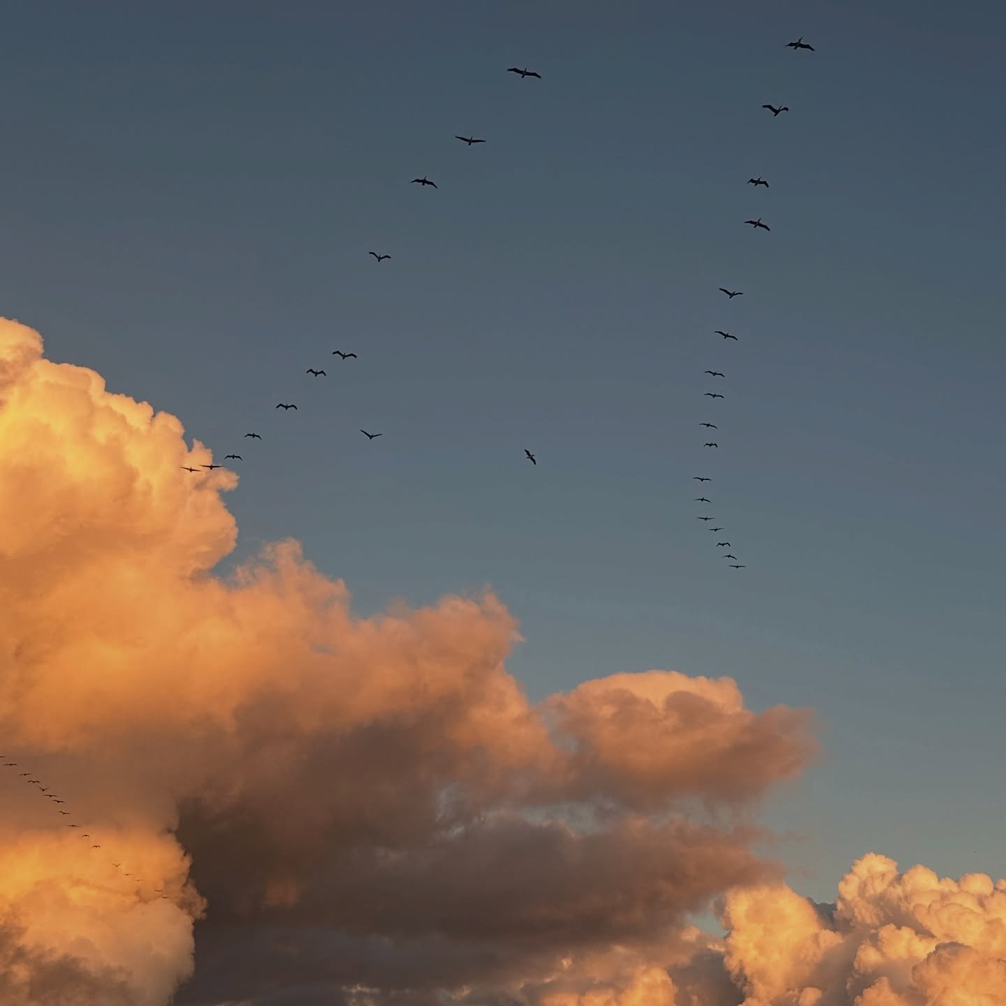 The last year showed me that true passions stick around because they're deeply ingrained in who you are, and I think that's a real blessing. It's something beyond the material that can&rsquo;t be taken away regardless of circumstances and experiences