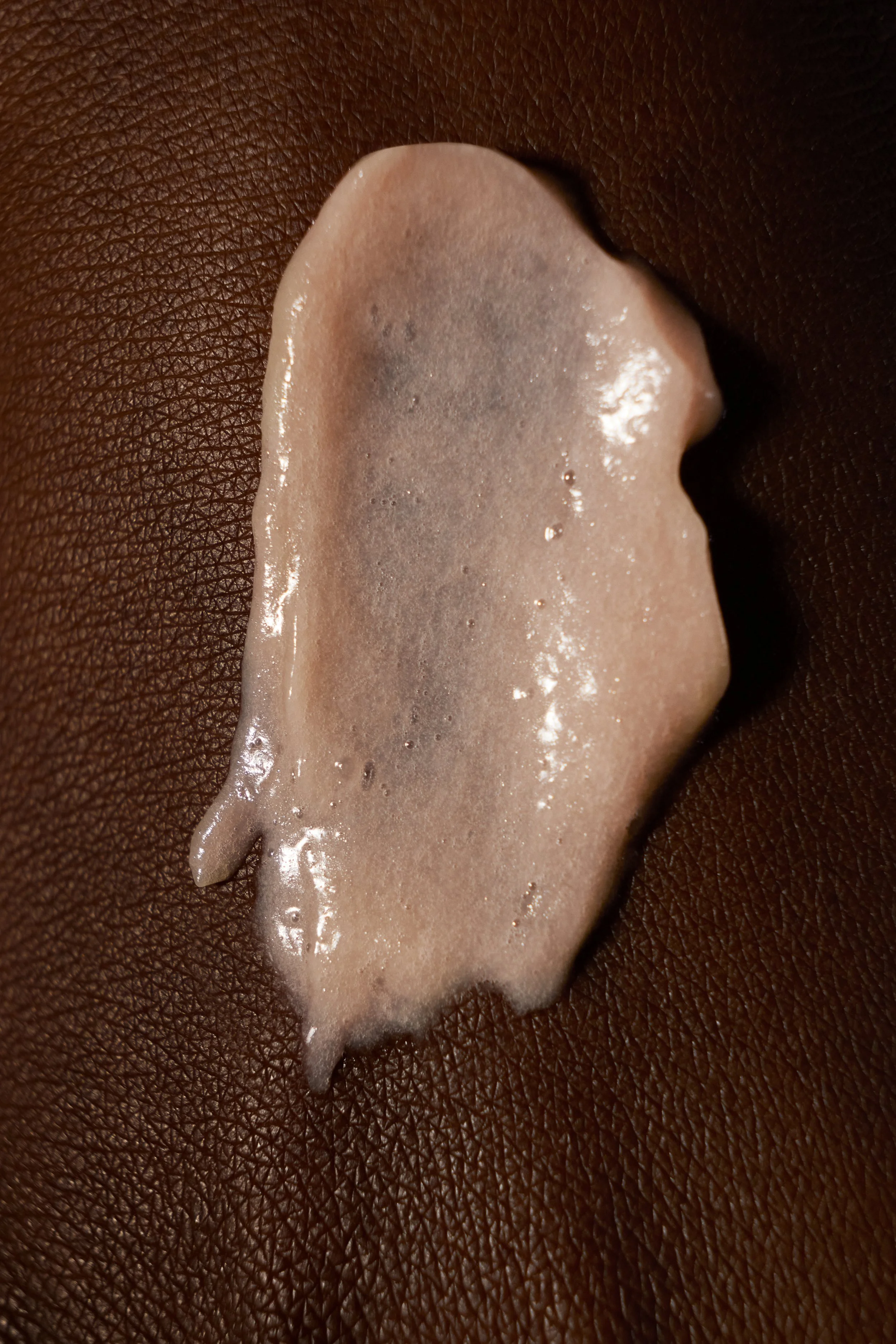 2025-02-23_OLERA0384-2.jpg