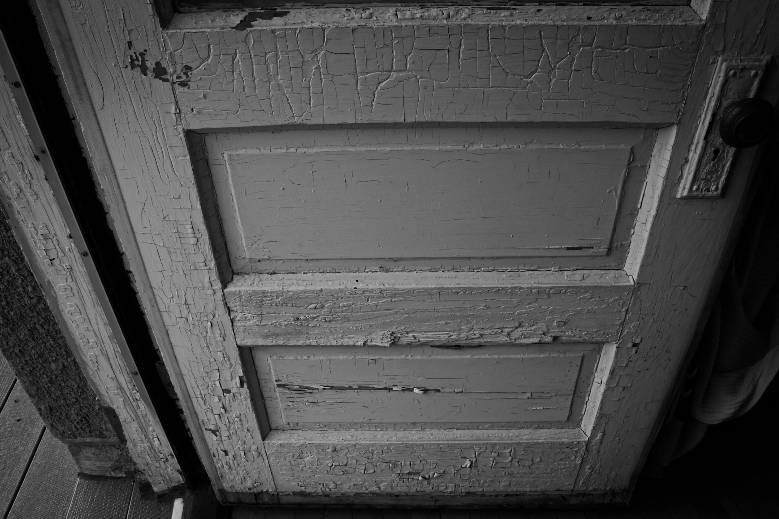 IMG-0970.jpeg