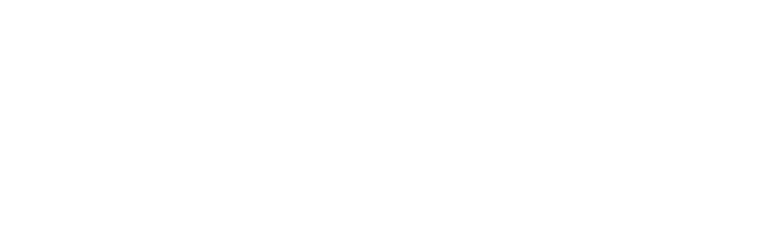 Secondary Print White Logo.png