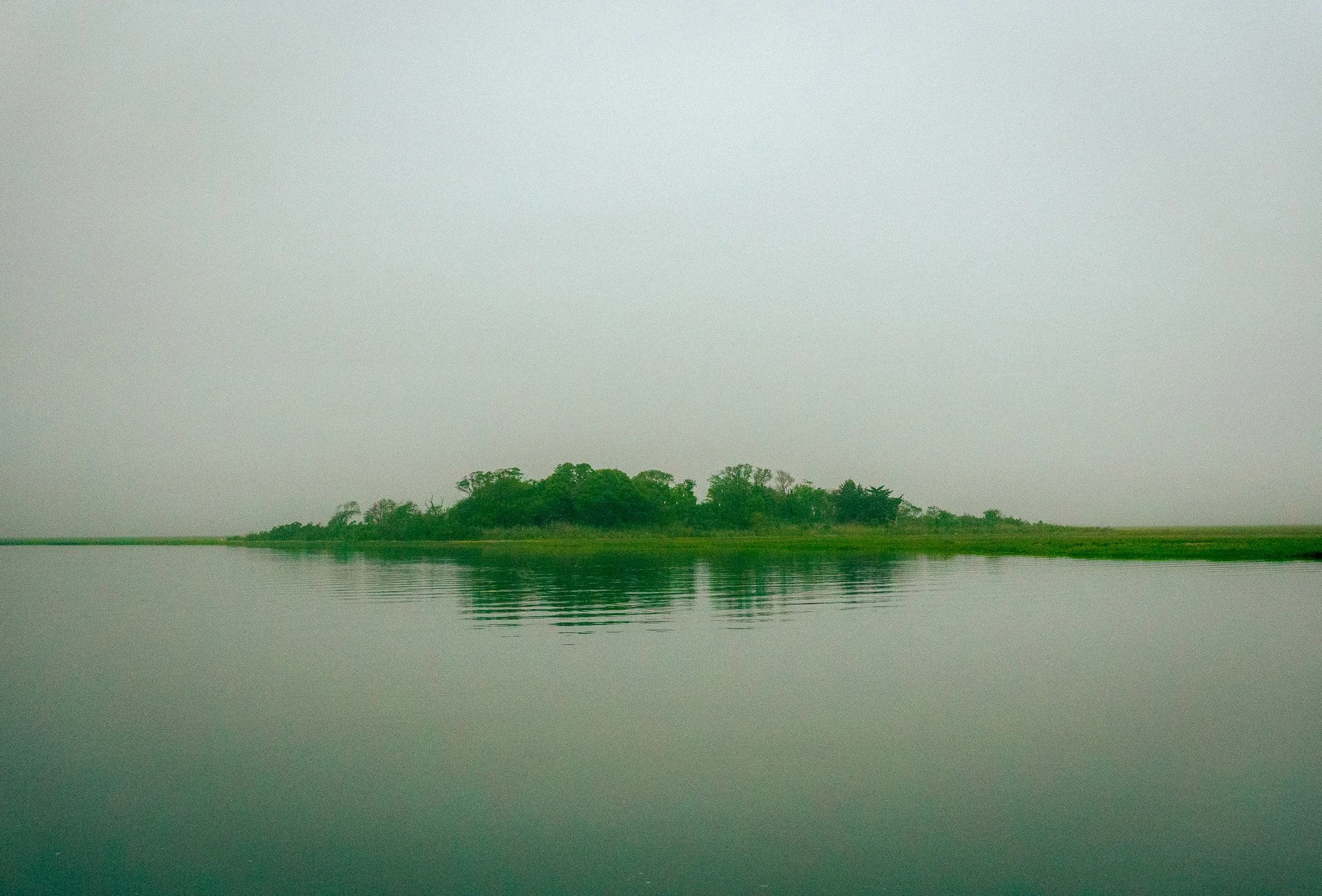 Shore-10.jpg