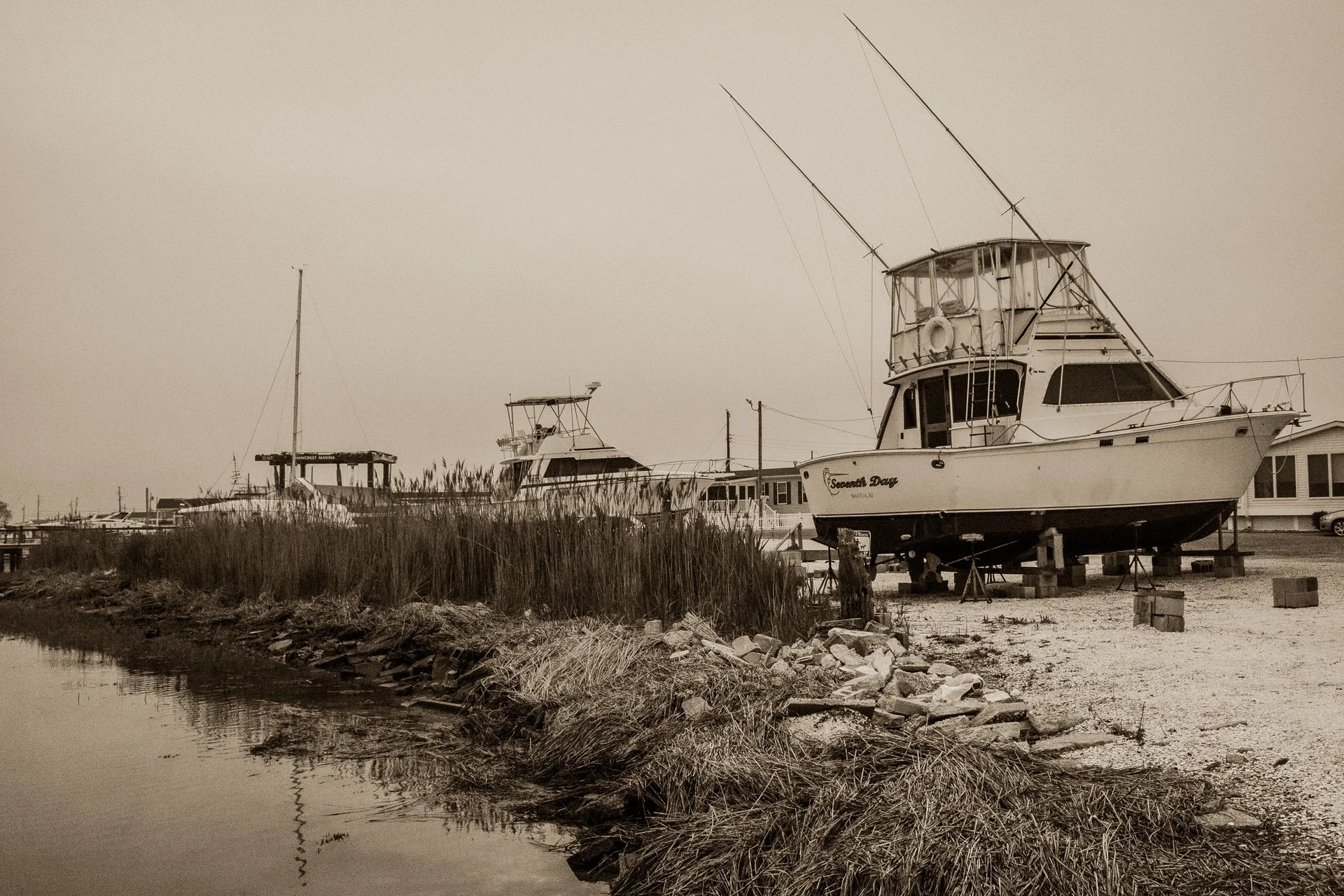 Shore-5.jpg