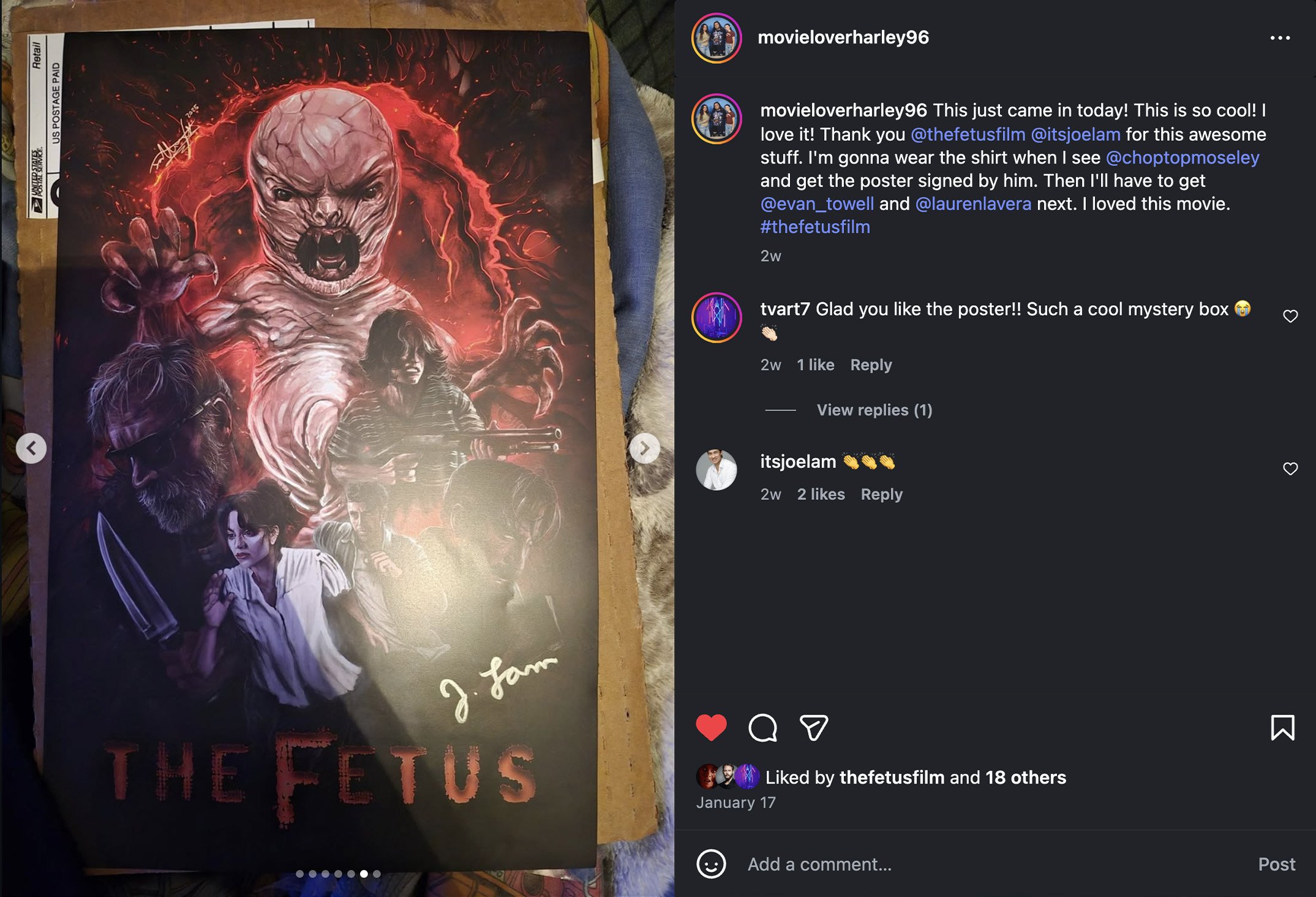 the-fetus-mystery-box-testimonial-movieloverharley96.jpg