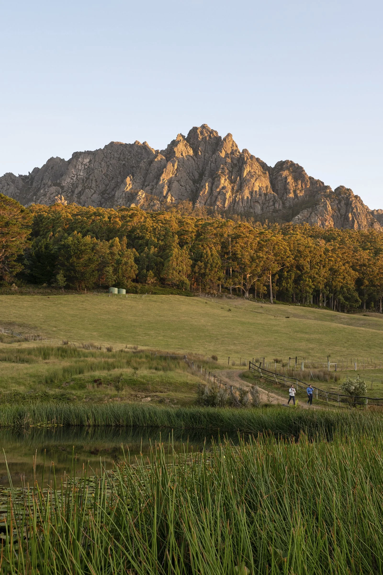 7_20241226_TASMANIA_Gus and Landscape.jpg