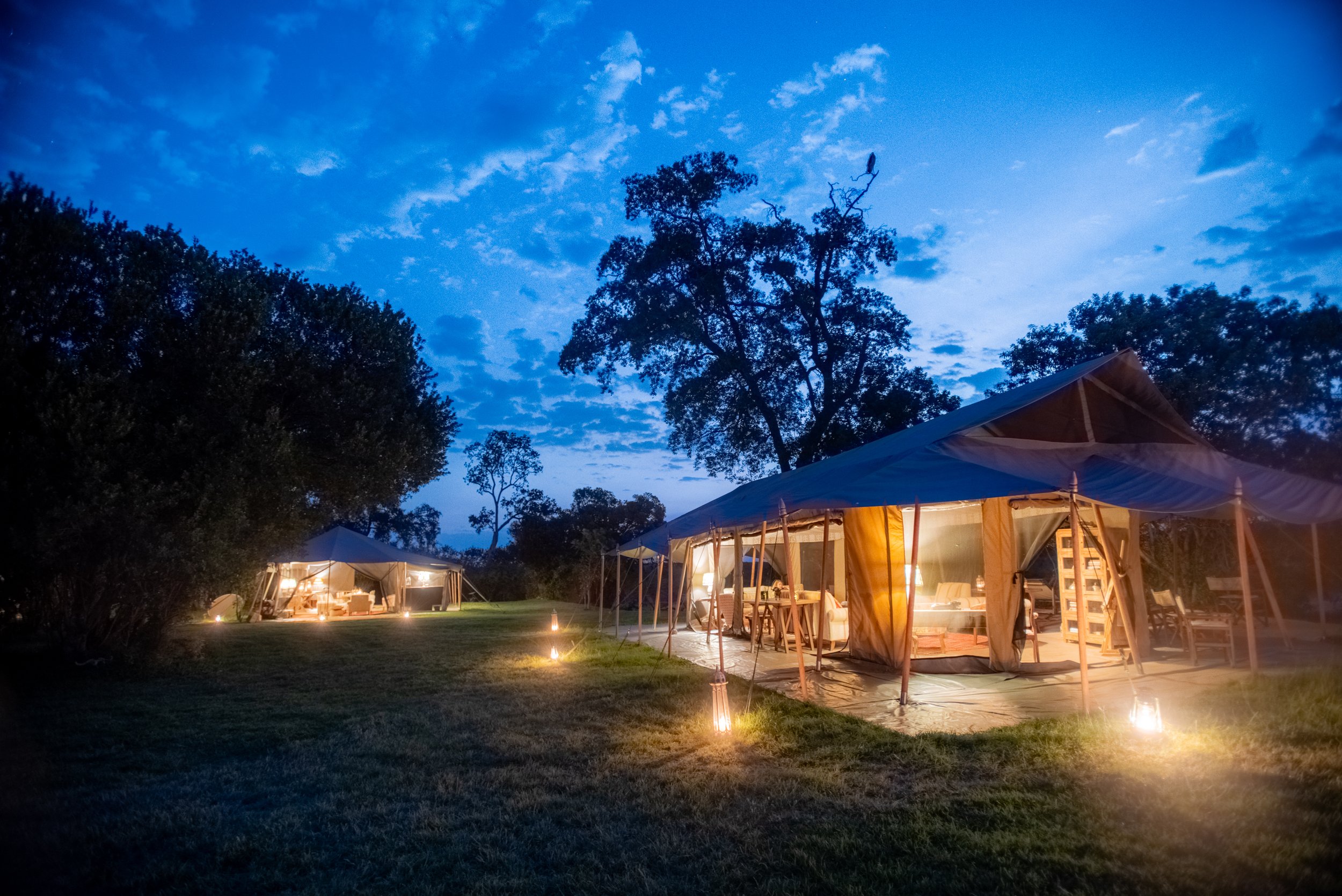 A luxury outdoor tent glamping setup at dusk, illuminated from within, with surrounding trees and a partly cloudy sky.