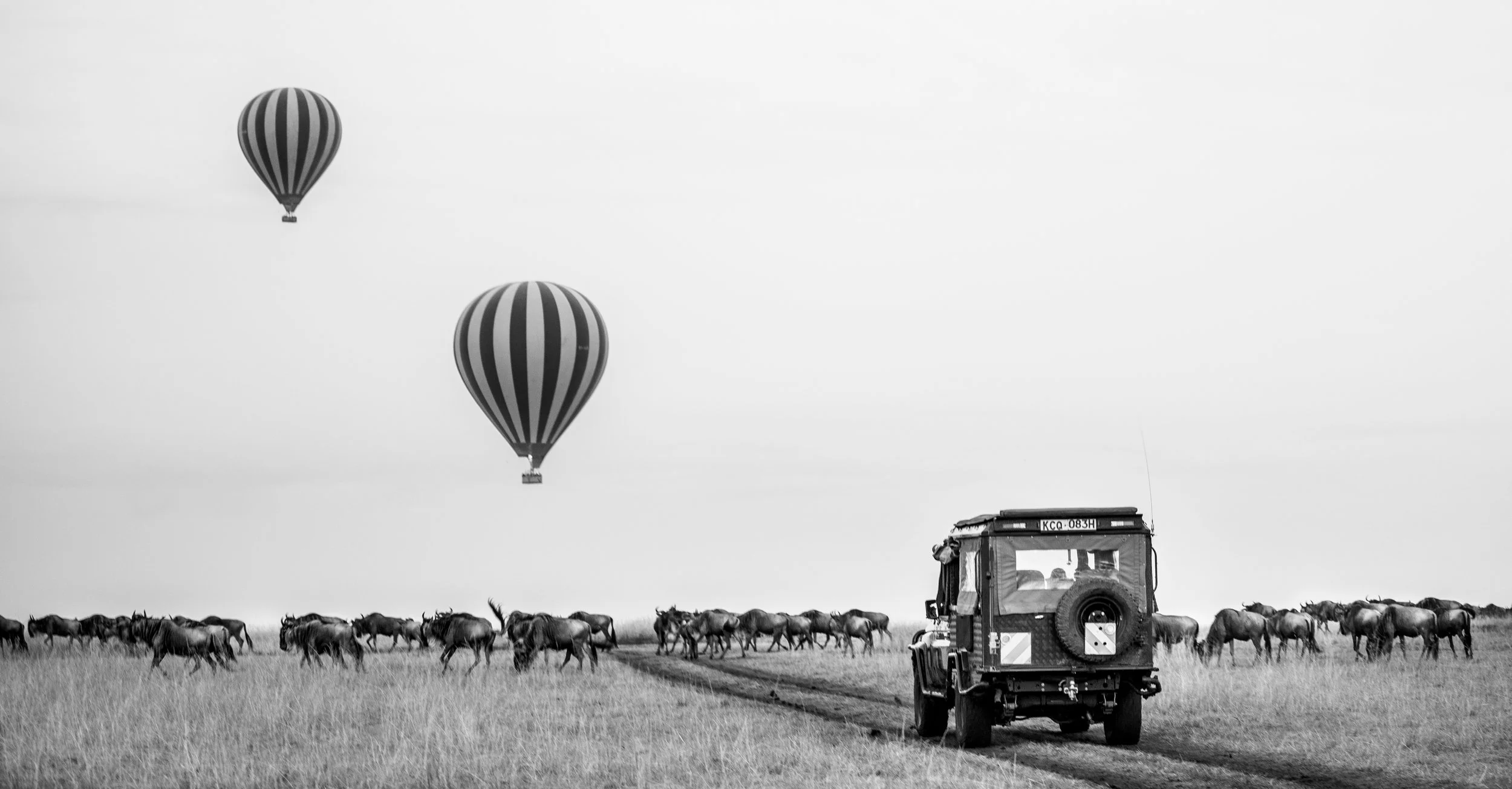 Black and white photograph of a safari vehicle parked on a dirt road in a grassy plain, with a herd of zebras nearby, and two hot air balloons floating in the sky above.