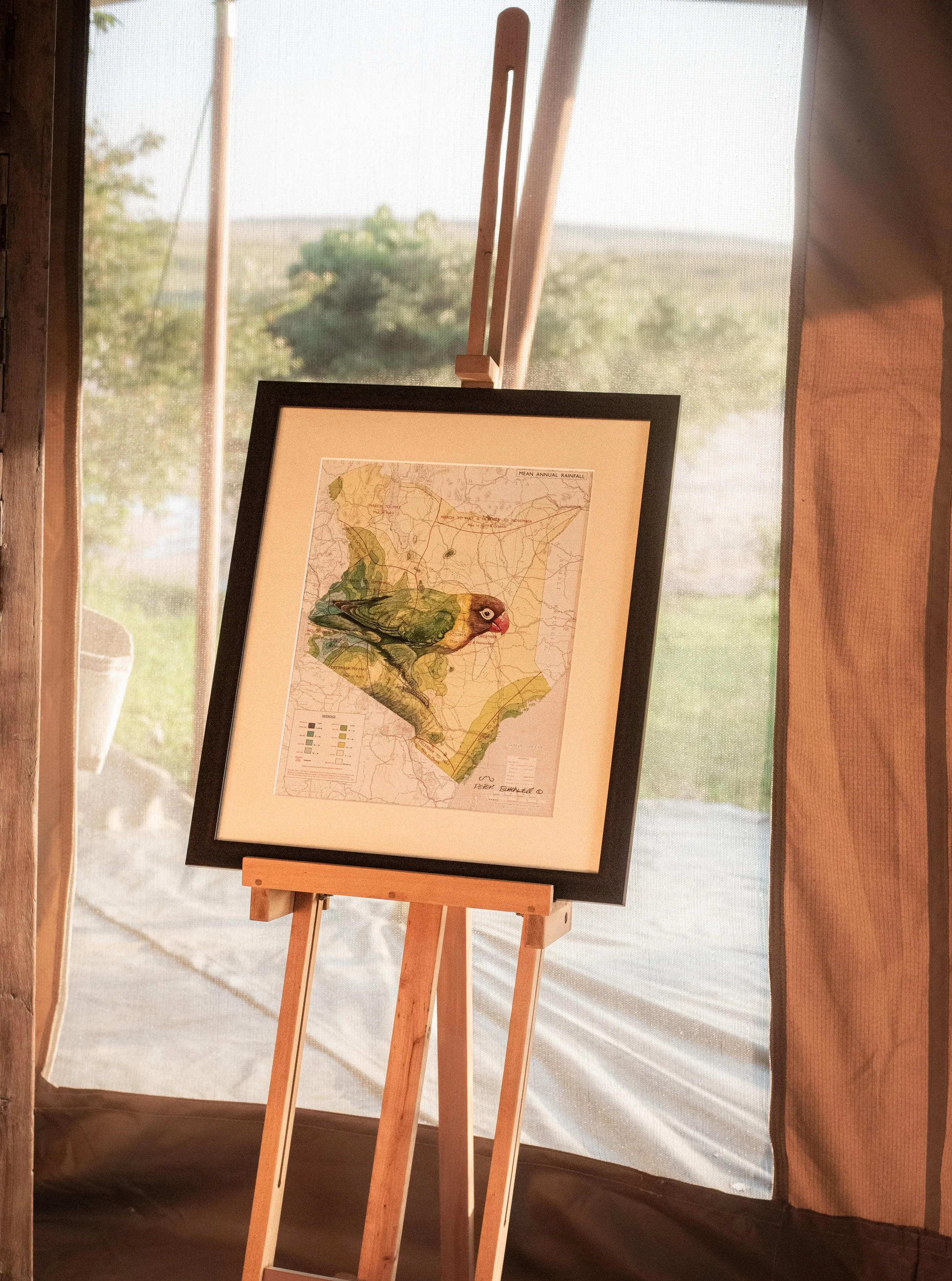 A framed map of Texas with a colorful bird illustration placed on an easel inside a tent with an outdoor view.