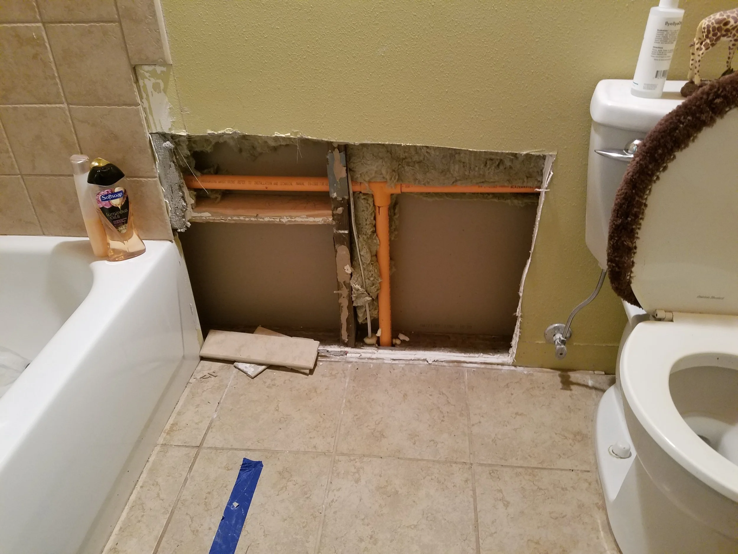 Bathroom Wall Patch Pullman Washington Before.jpg