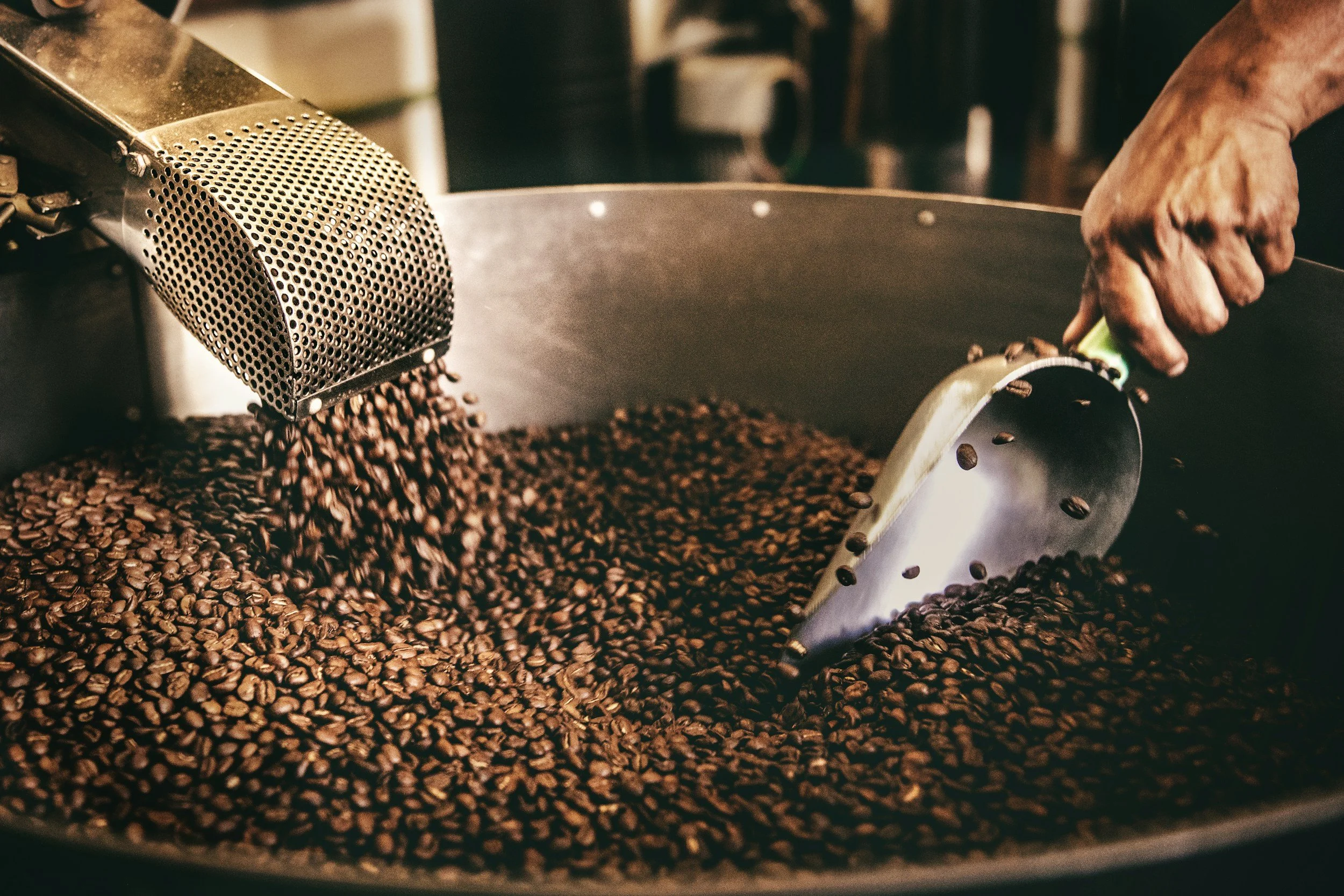Coffee beans in a roasting machine.